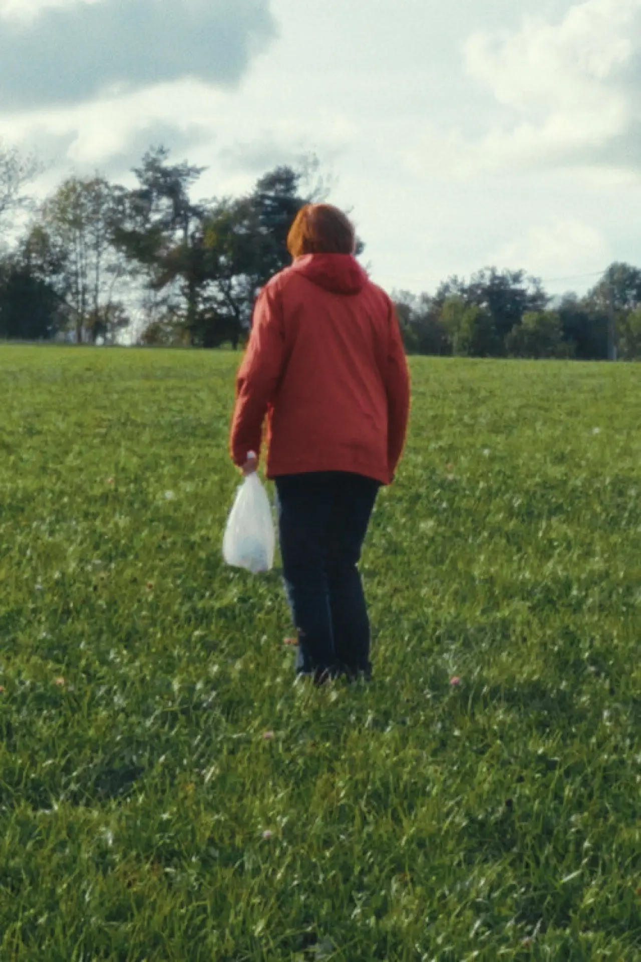 Movie poster "Fifi is Gone"
