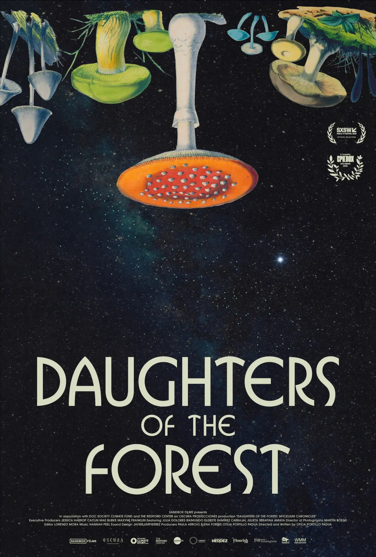 Movie poster "Daughters of the Forest"
