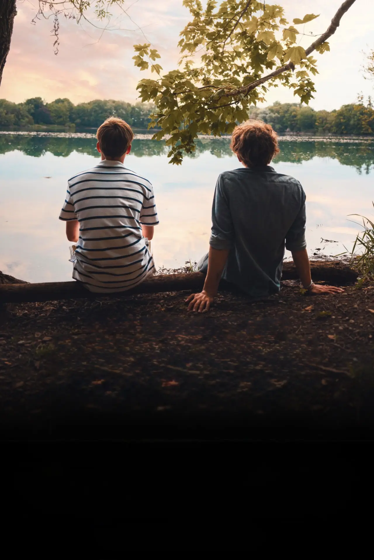 Movie poster "Take Me Home"