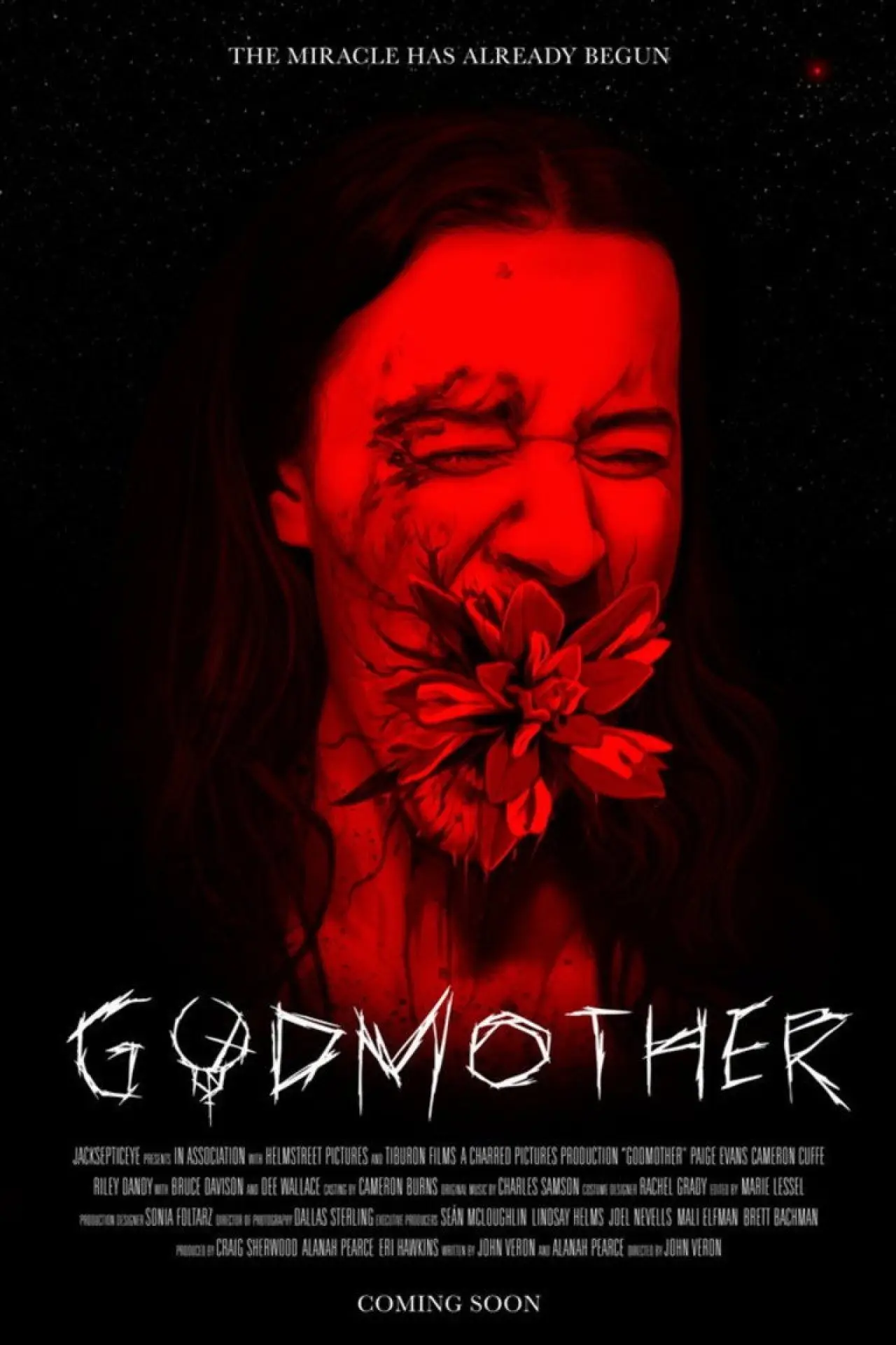 Movie poster "Godmother"