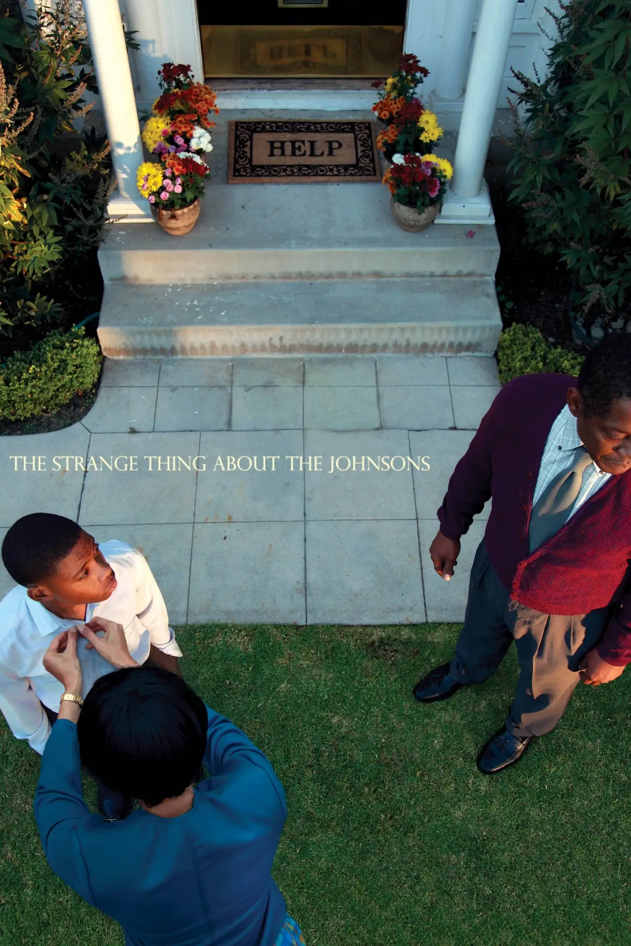 Movie poster "The Strange Thing About the Johnsons"