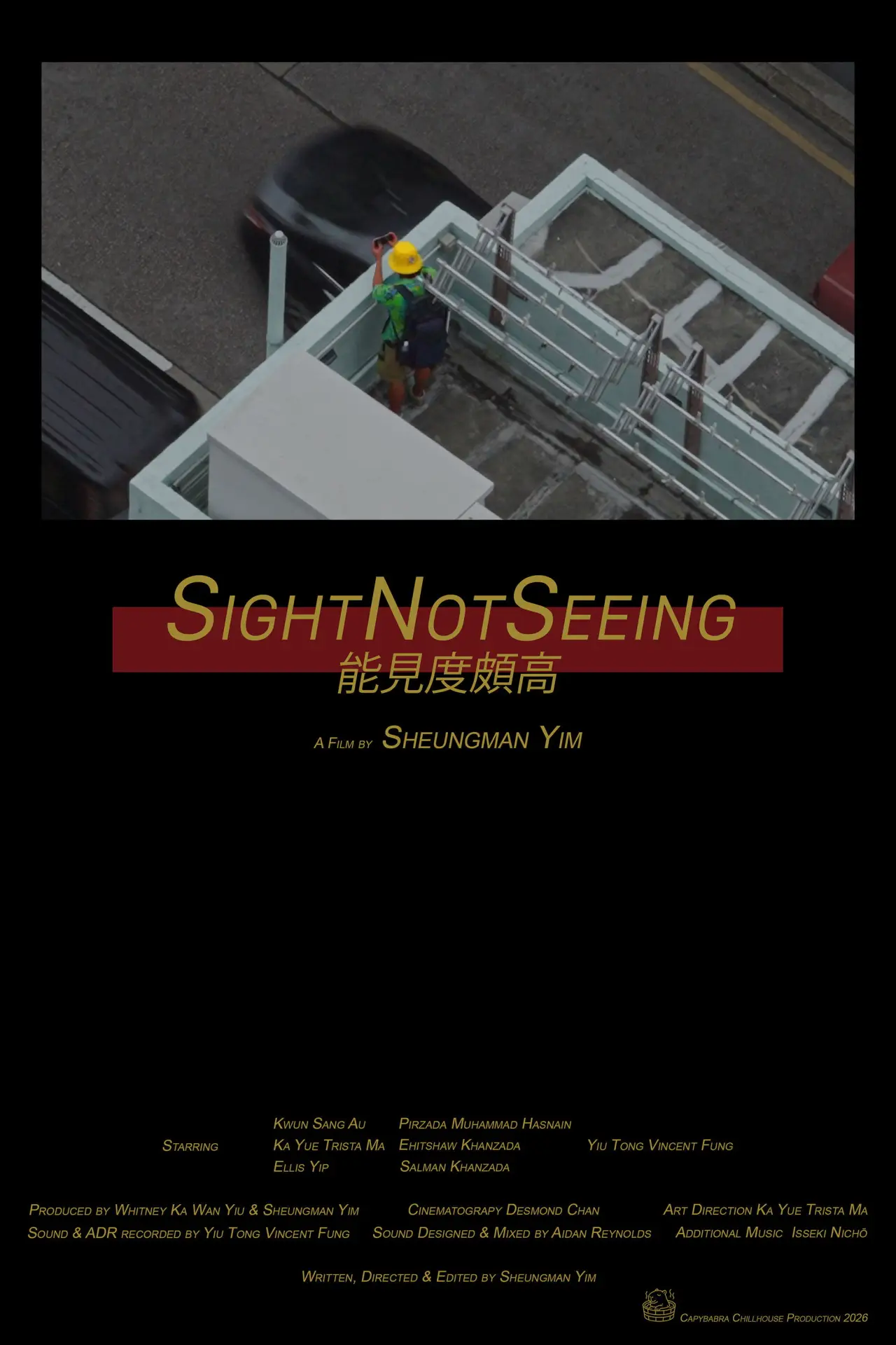 Movie poster "SightNotSeeing"