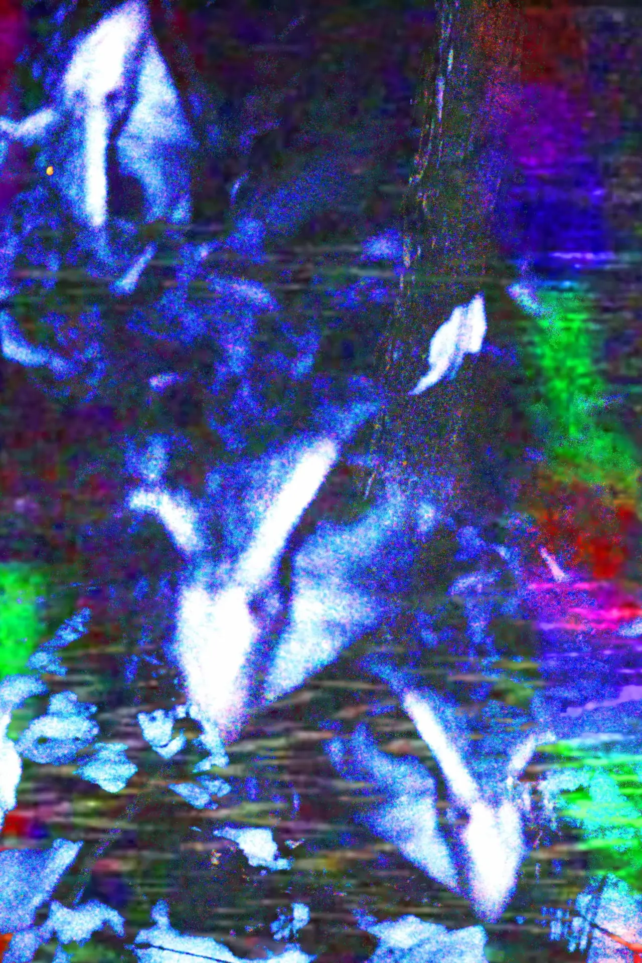 Movie poster "crow.mp4"