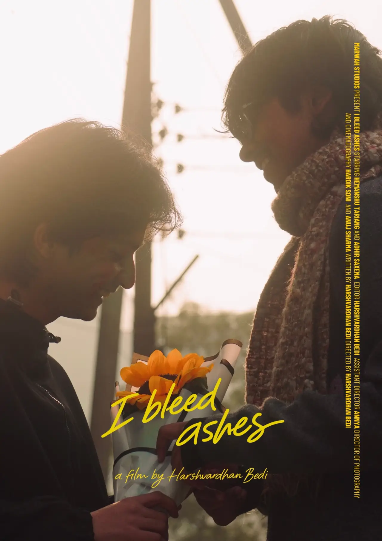 Movie poster "I Bleed Ashes"