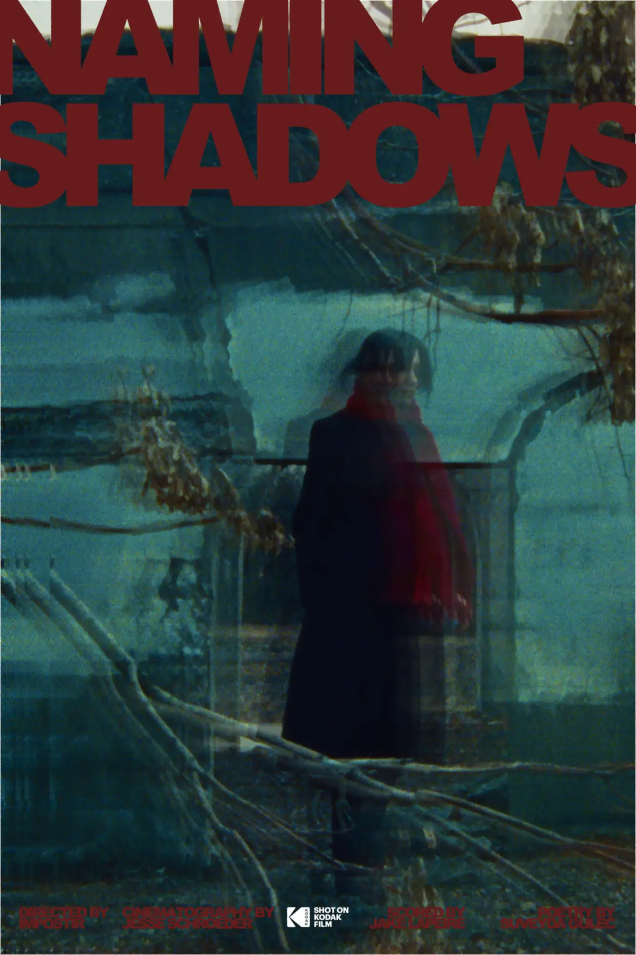 Movie poster "Naming Shadows"