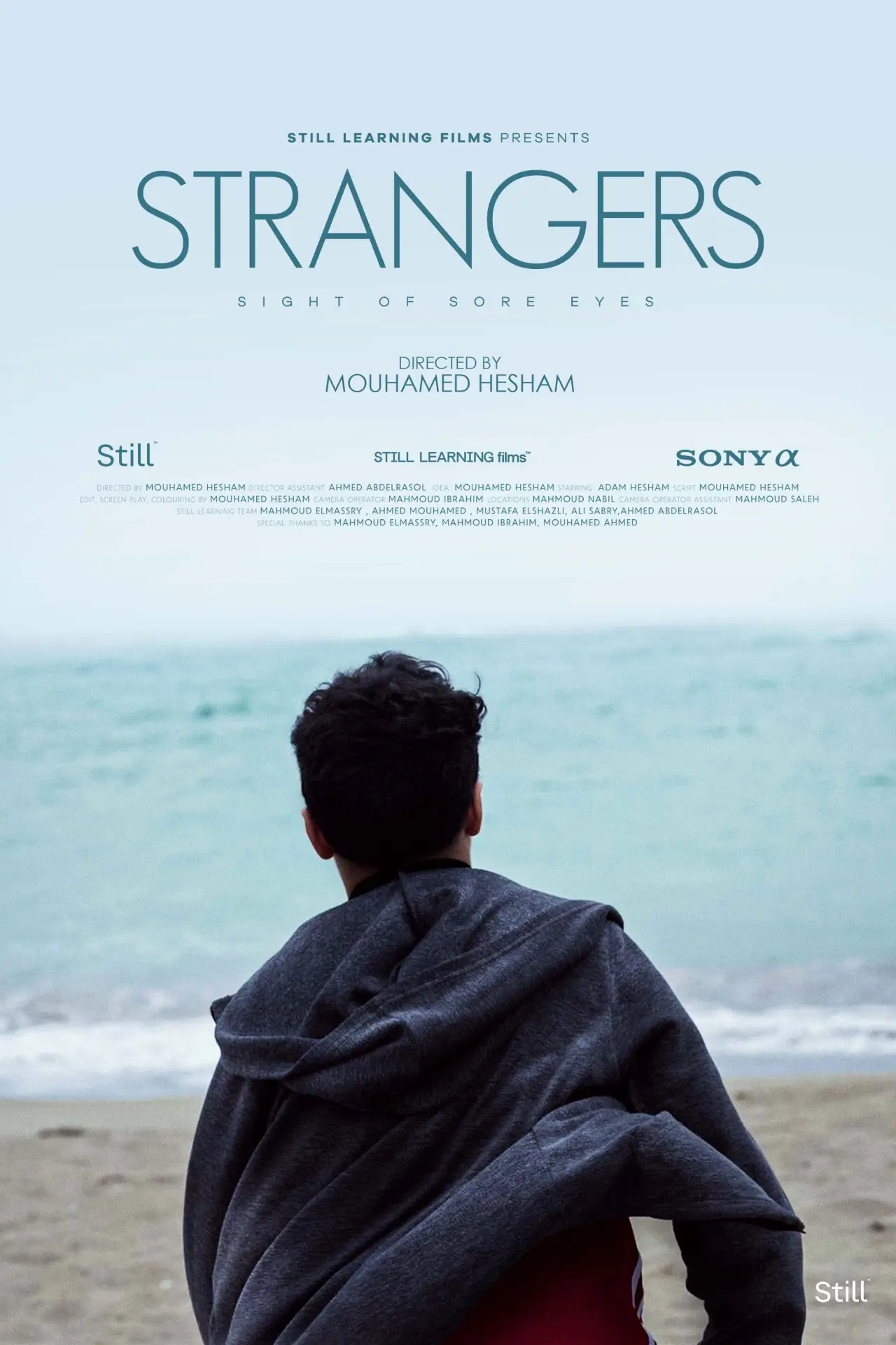 Movie poster "Strangers"