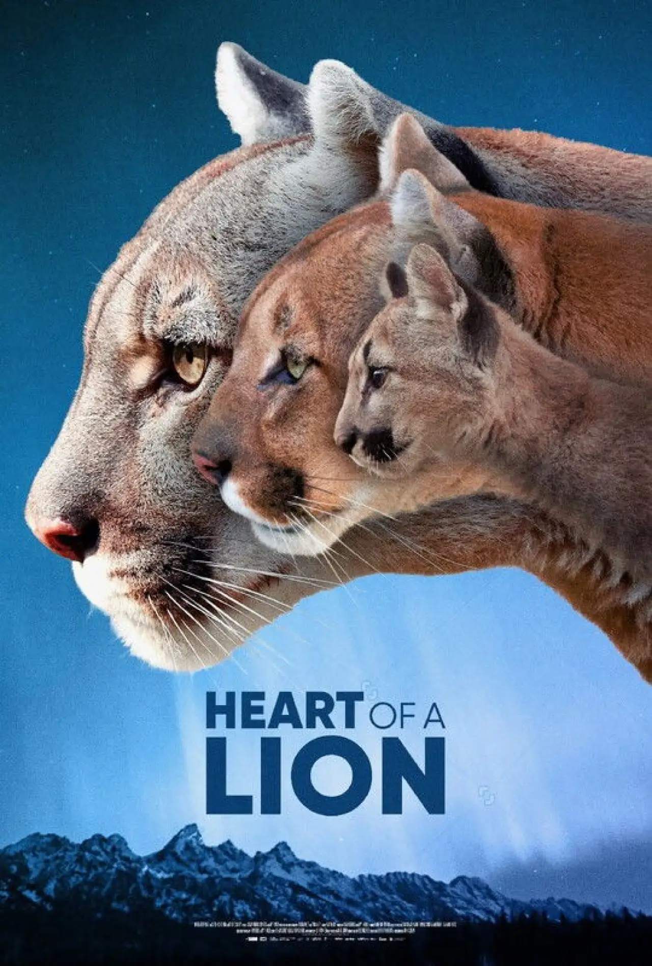 Movie poster "Heart of a Lion"