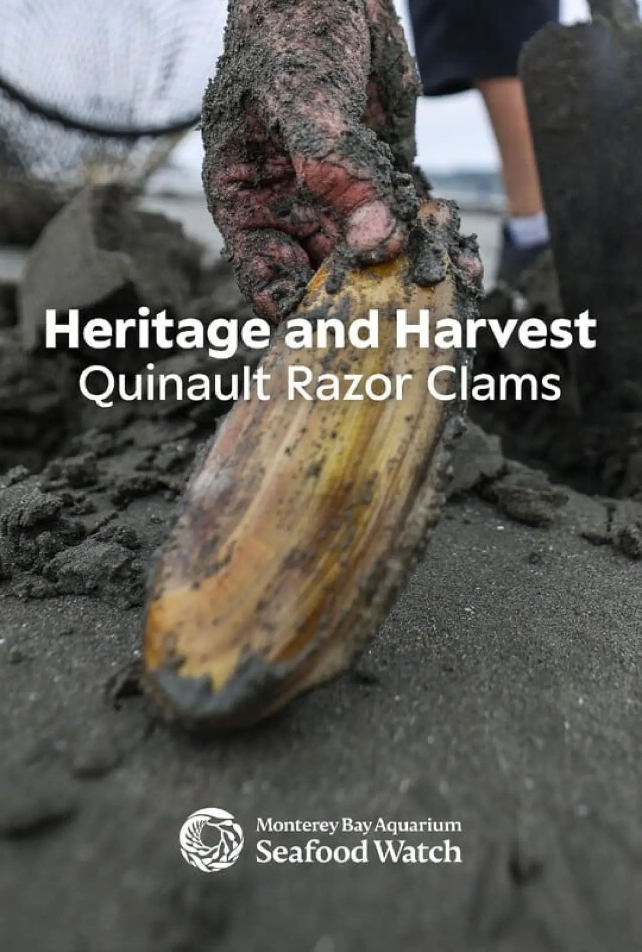 Movie poster "Heritage and Harvest: Quinault Razor Clams"