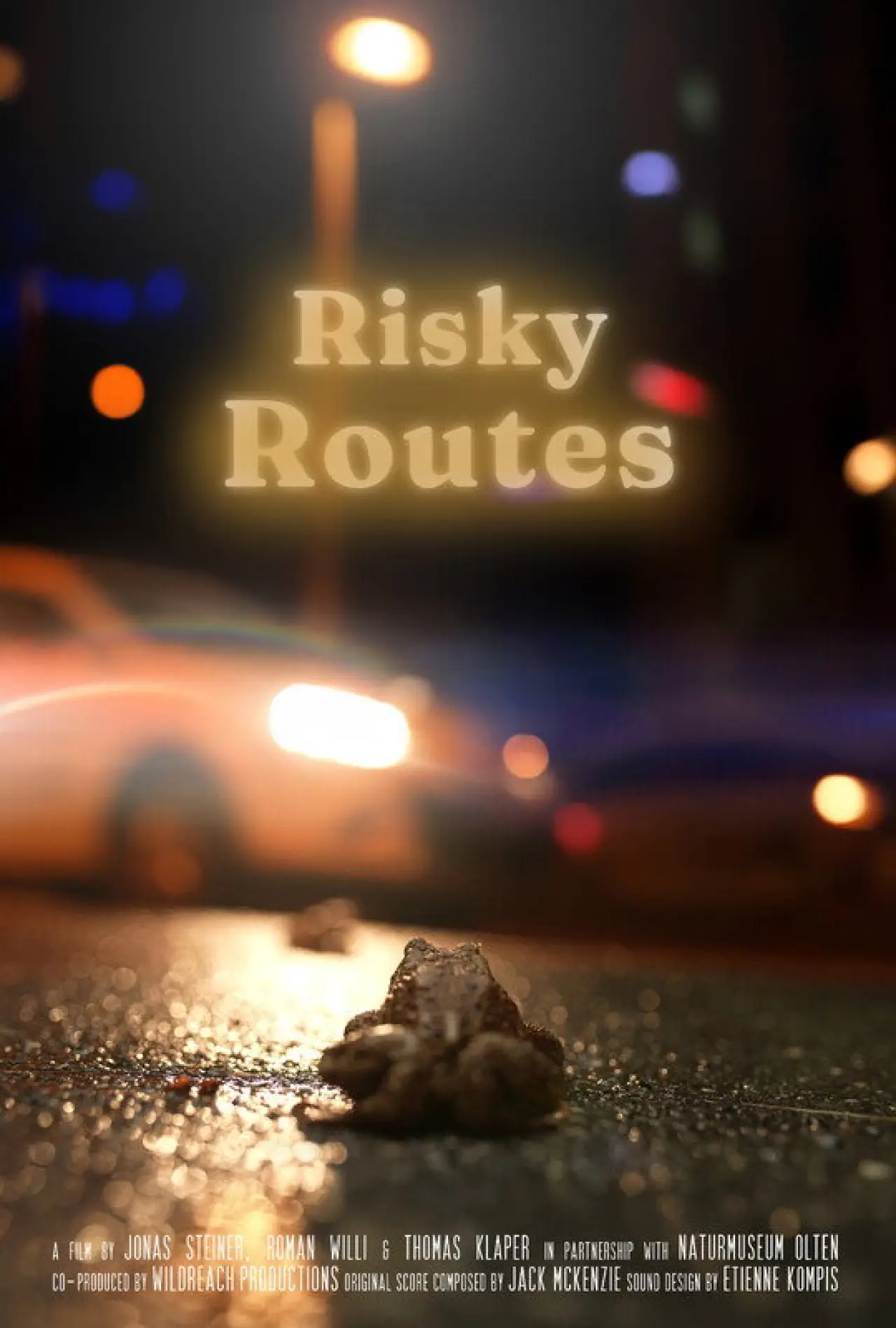 Movie poster "Risky Routes"