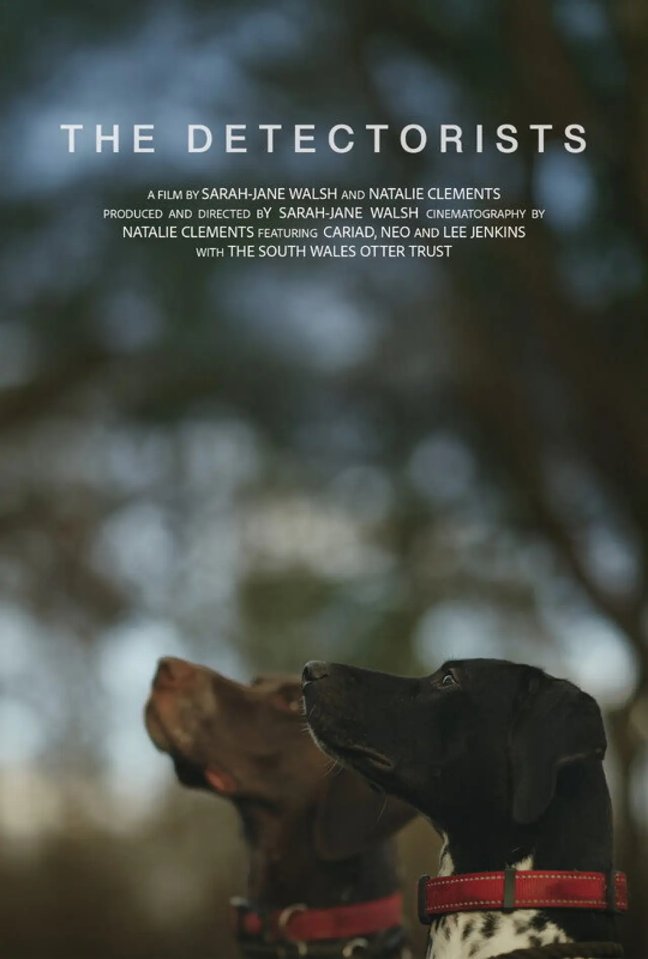 Movie poster "The Detectorists"