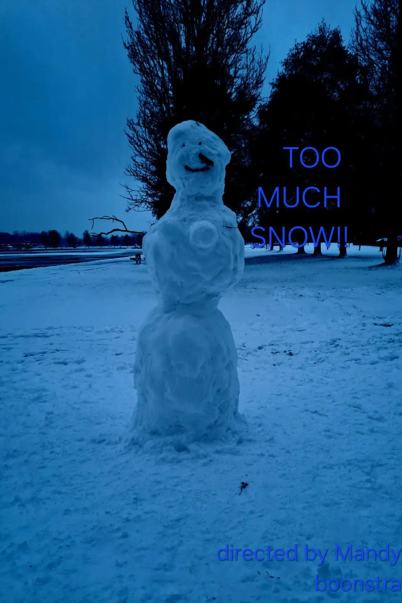 Movie poster "a lot of snow!"
