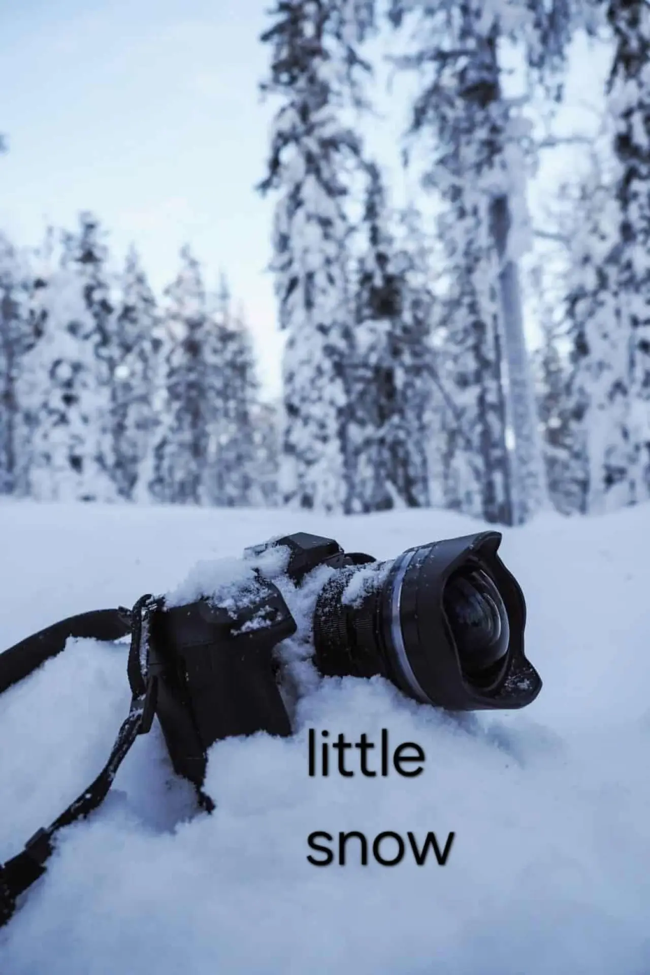 Movie poster "little snow"