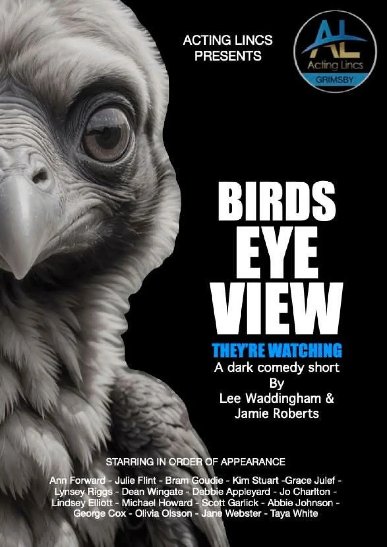 Movie poster "Birds Eye View"