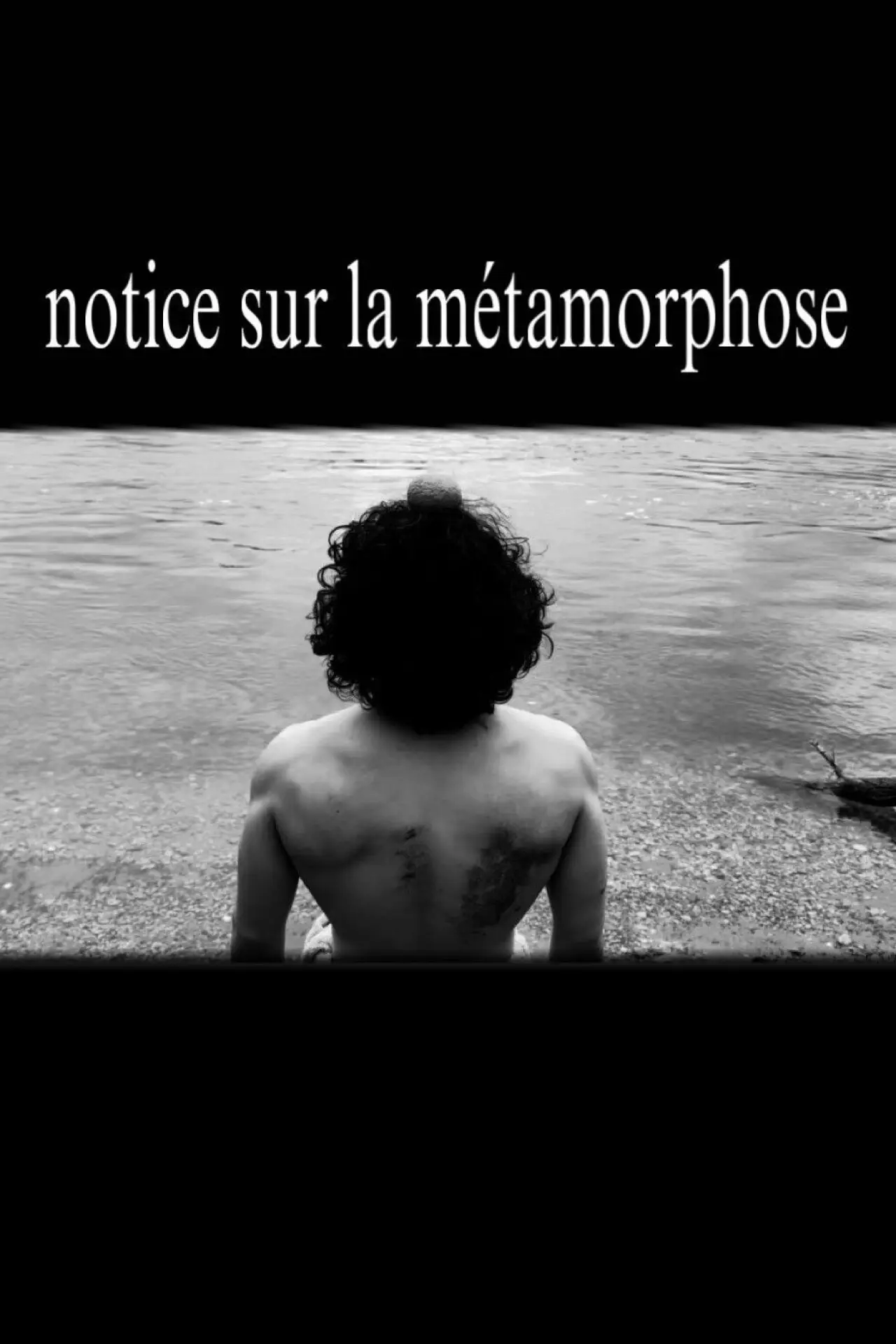 Movie poster "notice sur la métamorphose"