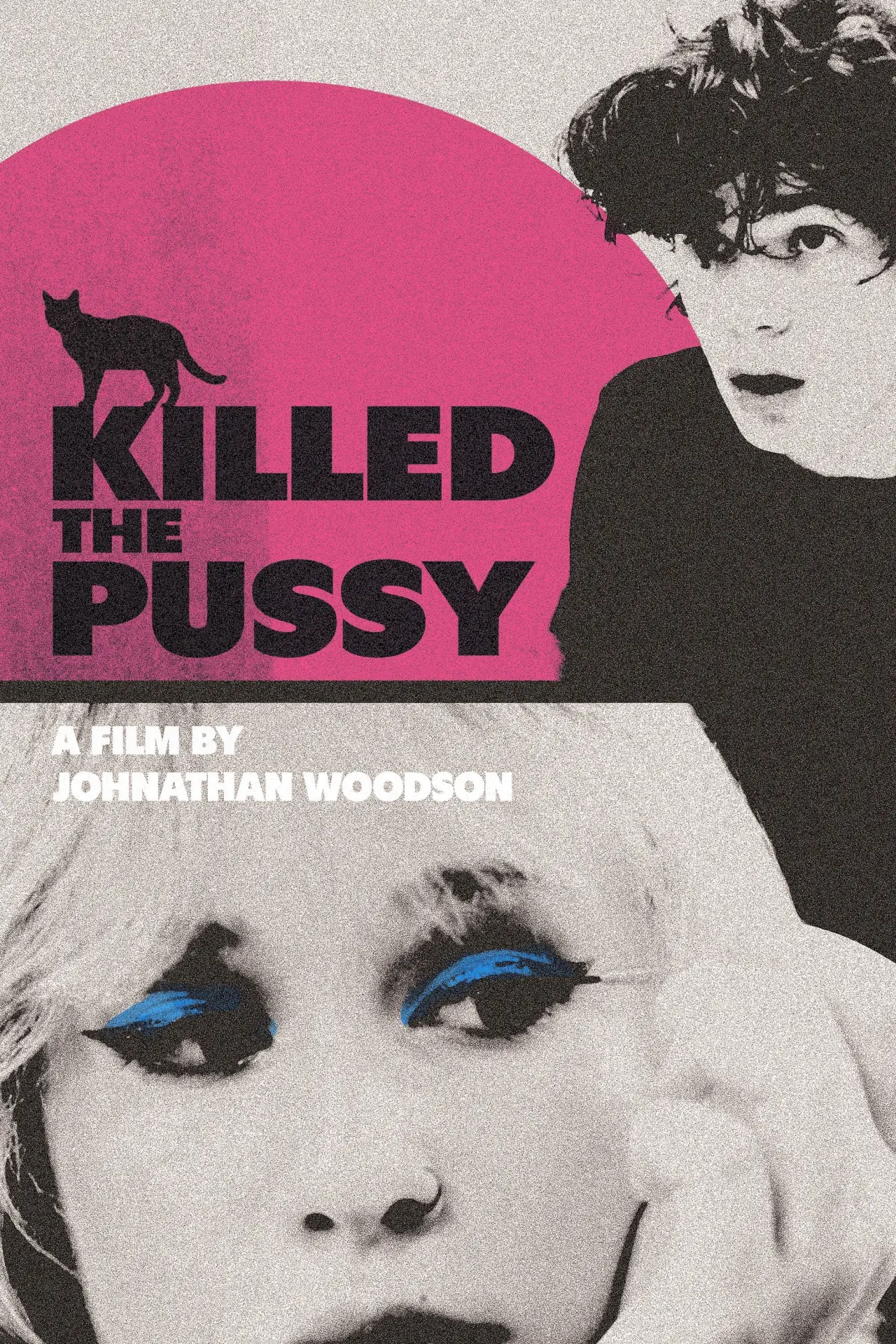 Movie poster "Killed the Pussy"