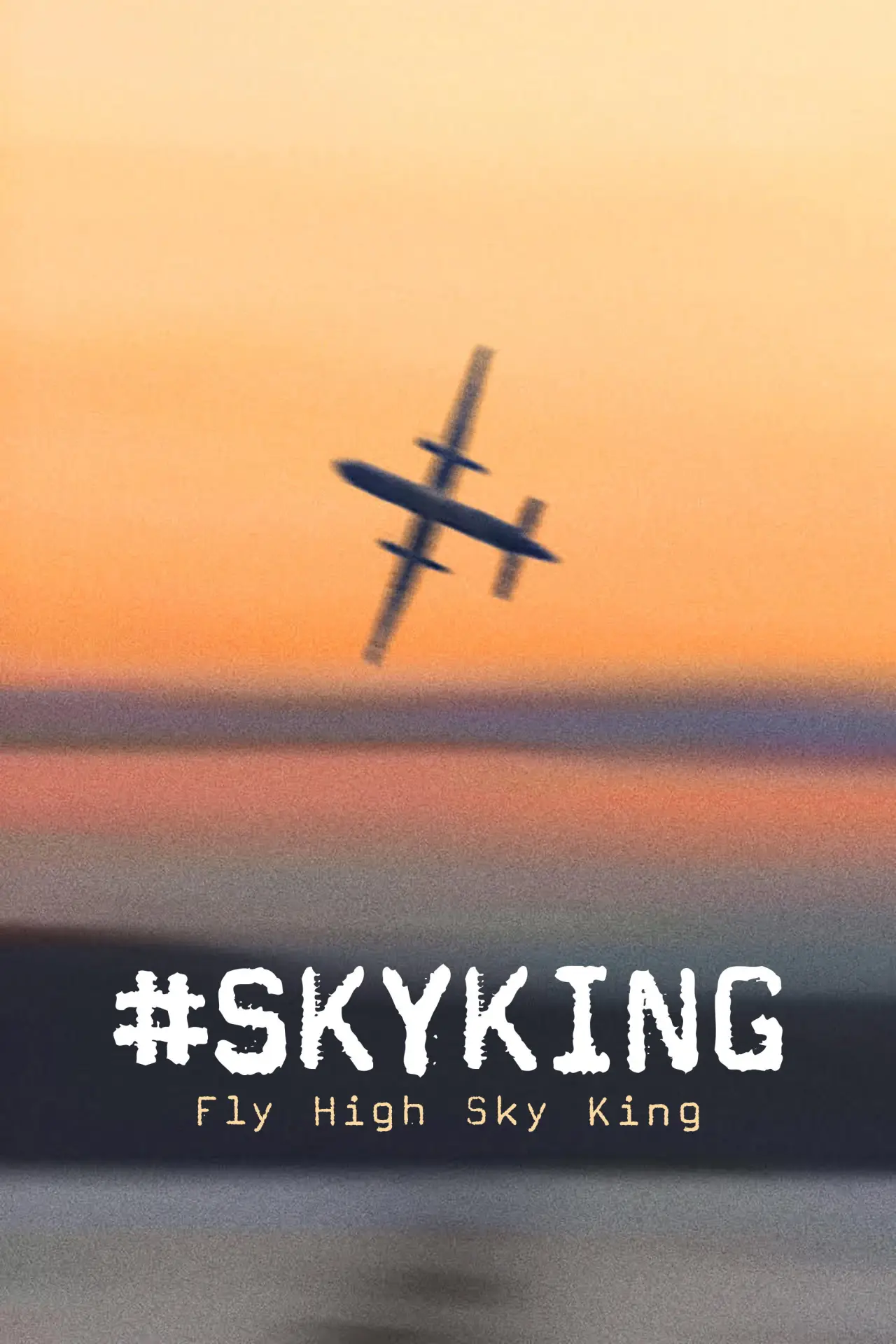 Movie poster "#SKYKING"
