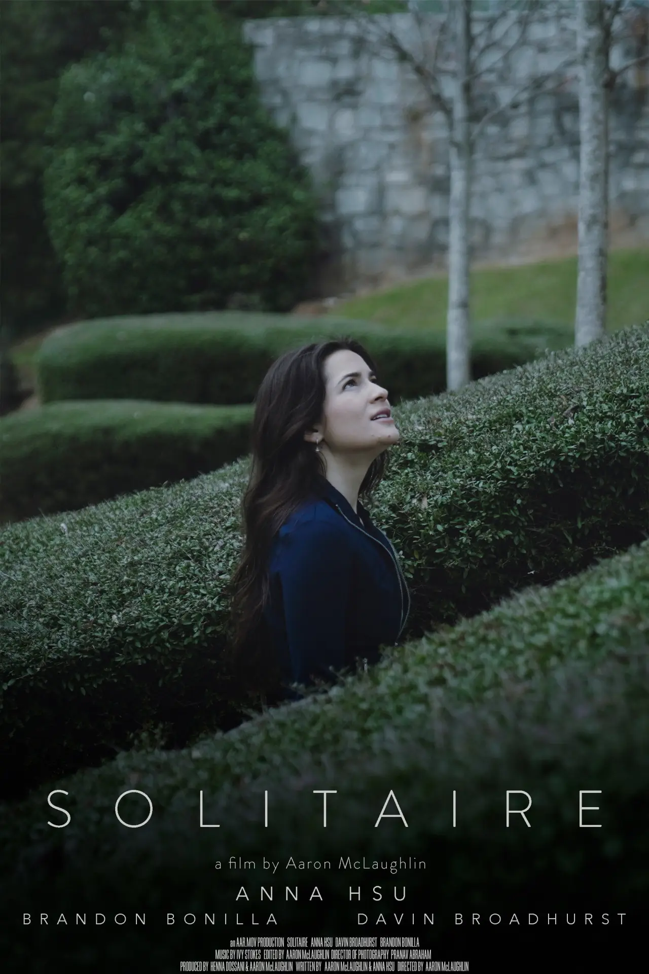 Movie poster "Solitaire"