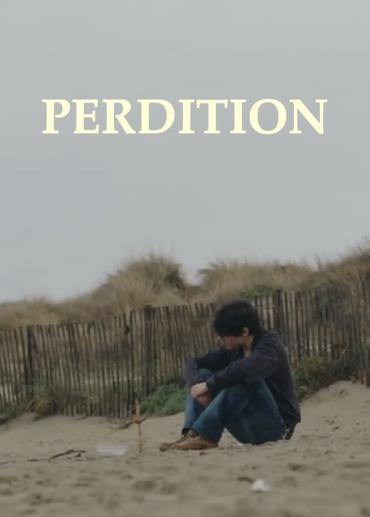 Movie poster "Perdition"
