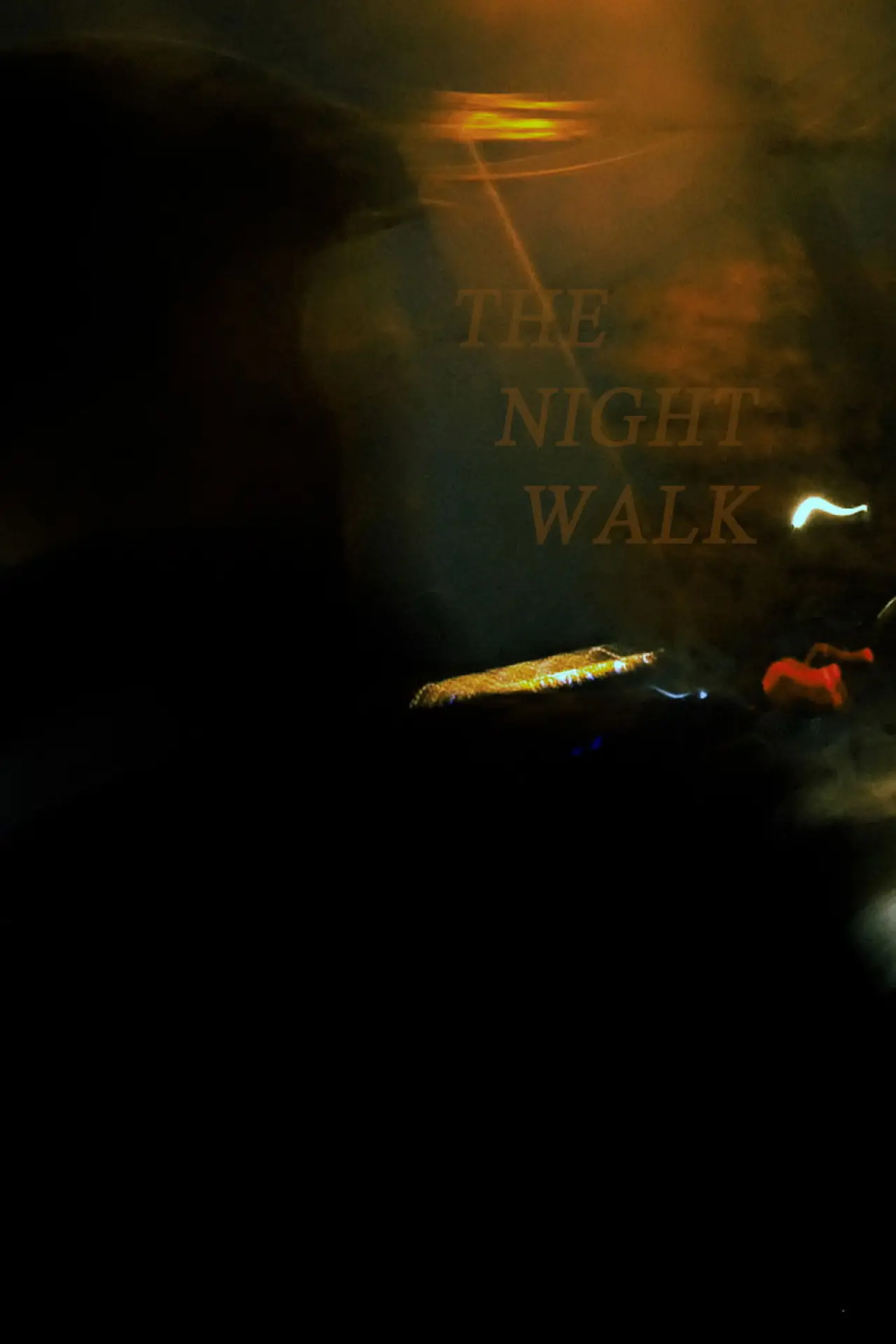 Movie poster "The Night Walk"