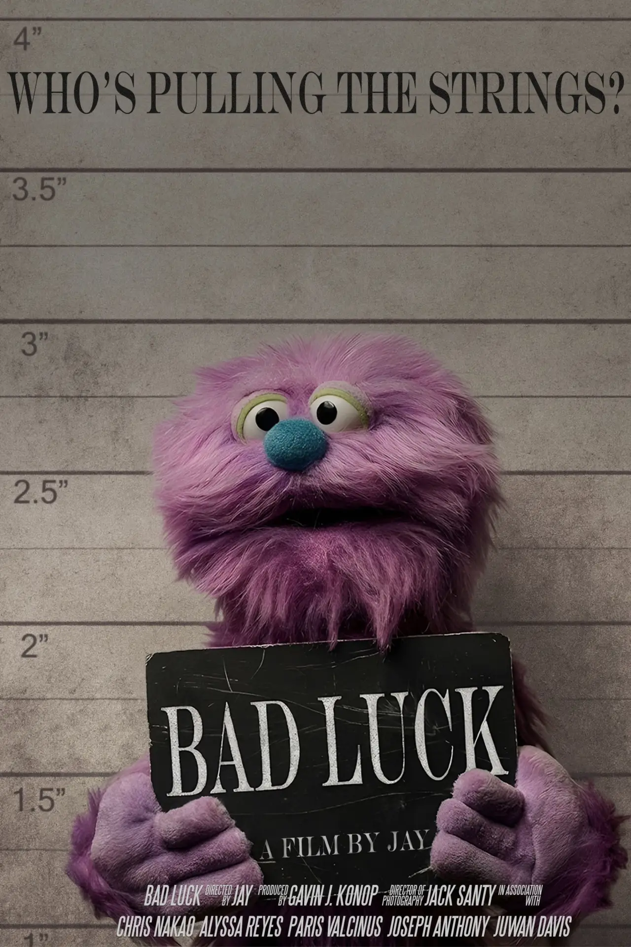 Movie poster "Bad Luck"