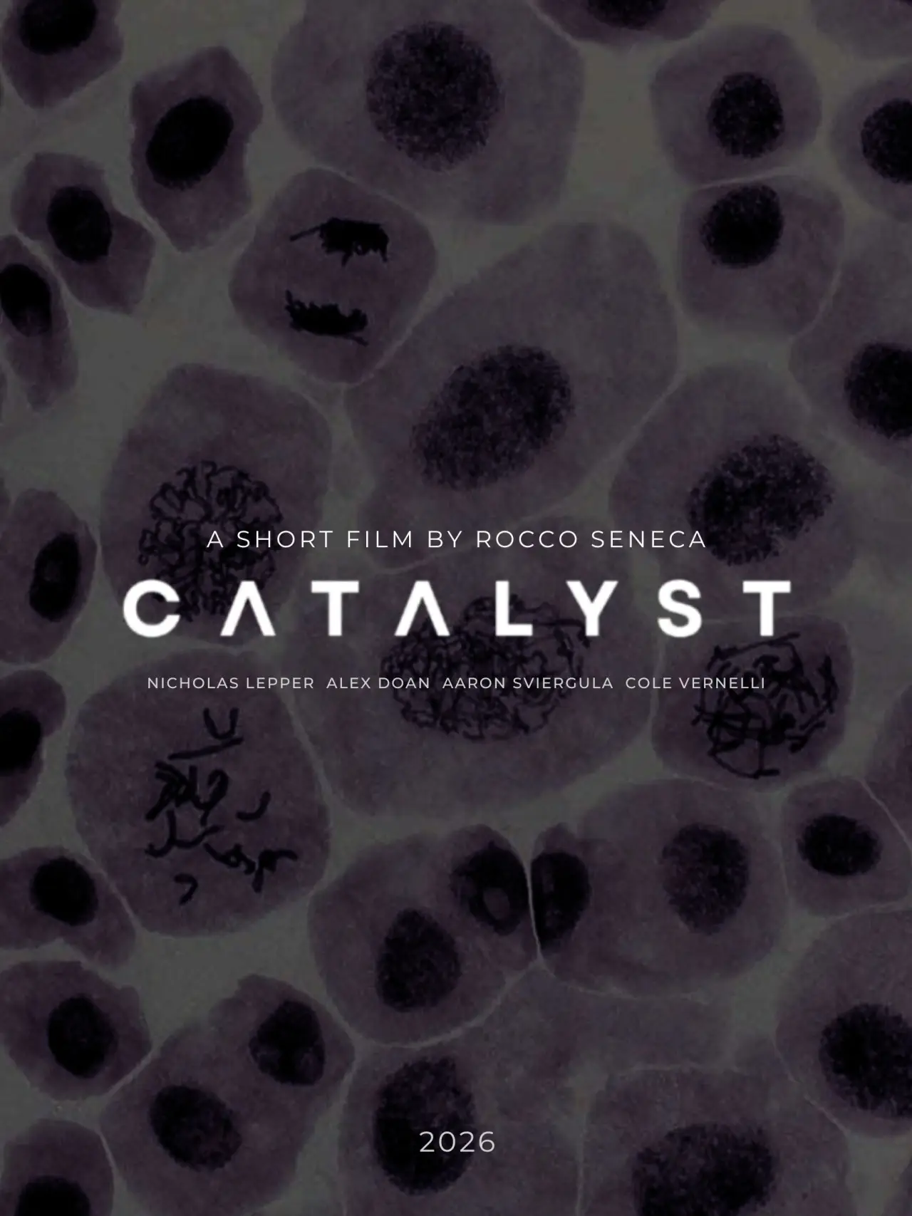 Movie poster "Catalyst"
