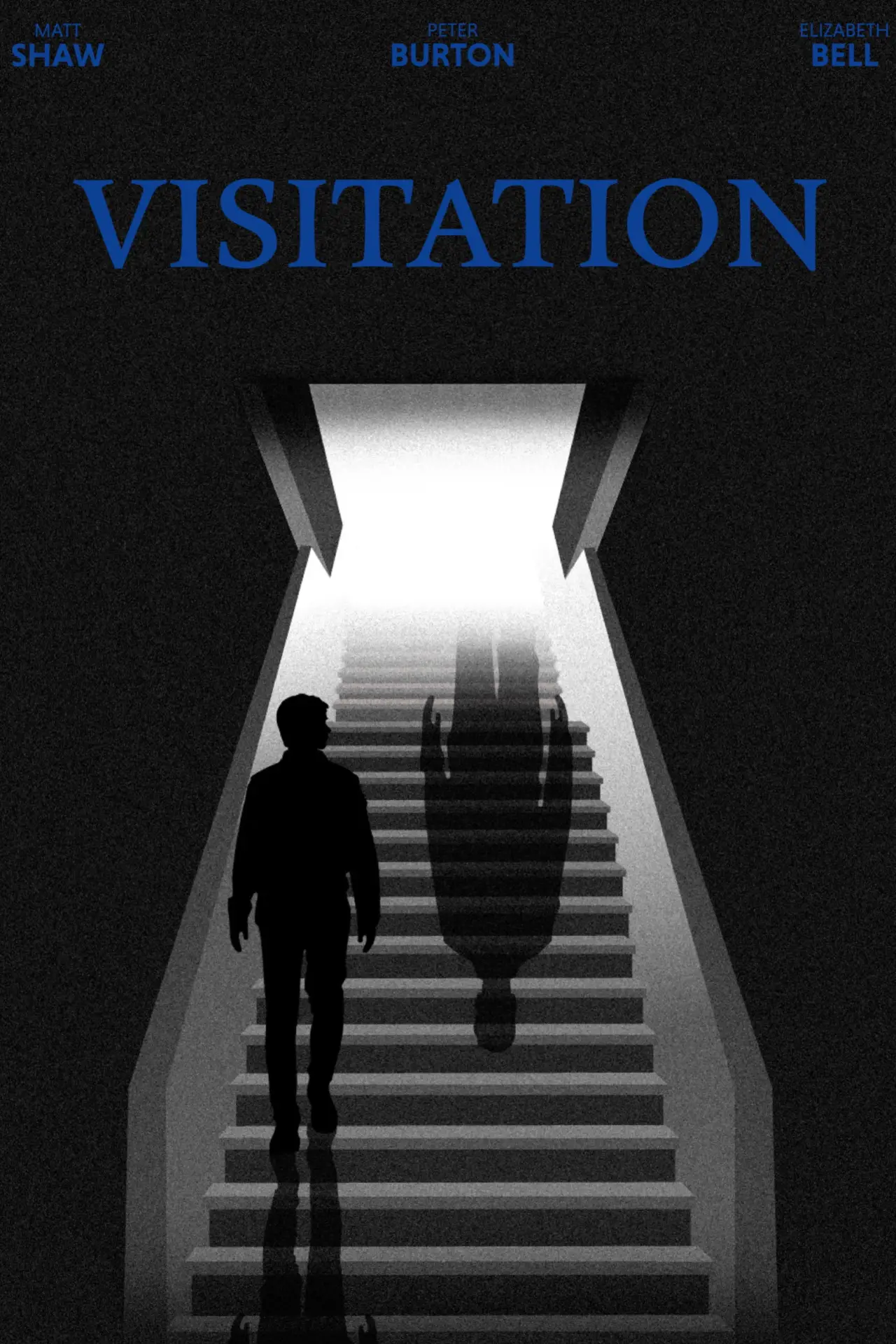 Movie poster "Visitation"