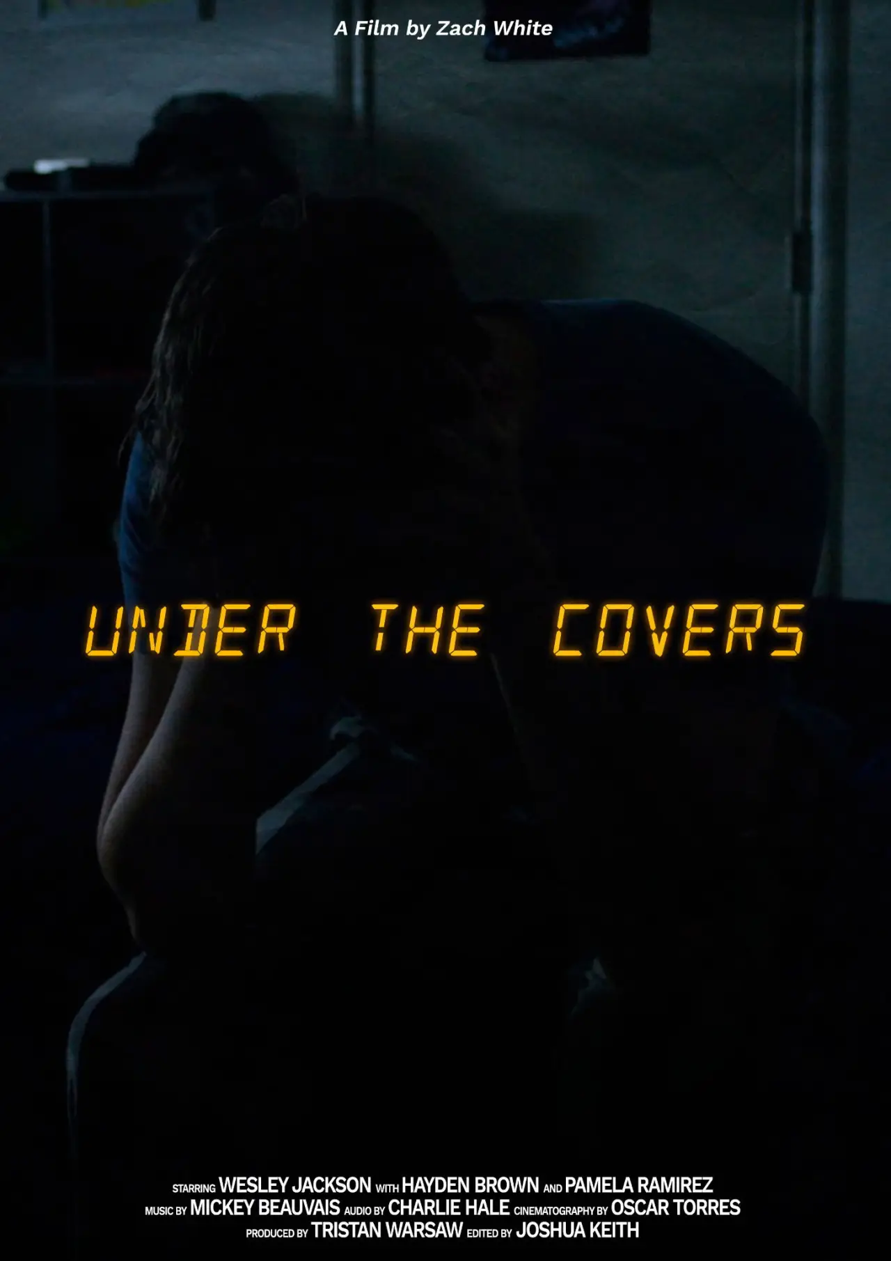 Movie poster "Under The Covers"