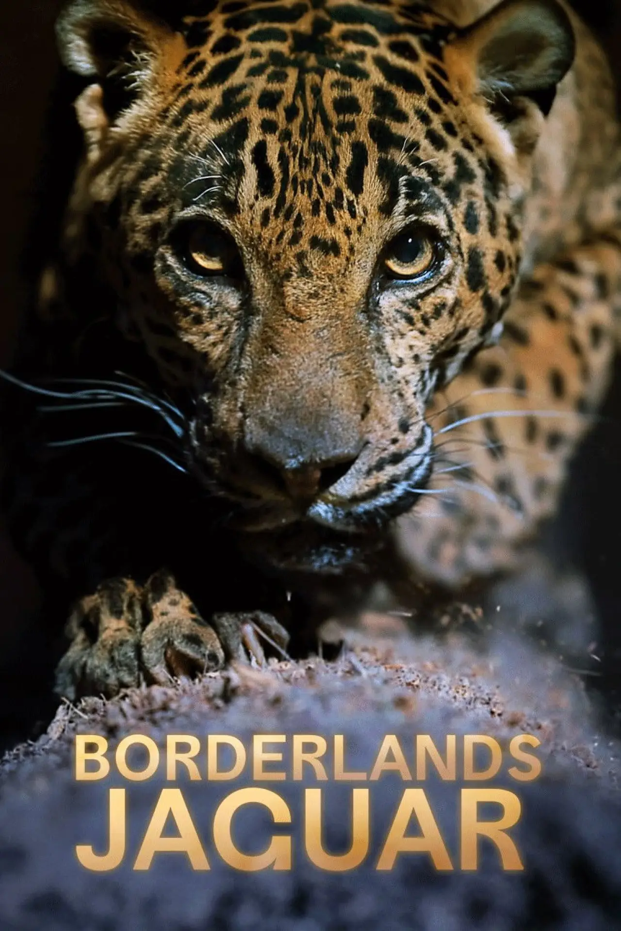 Movie poster "Borderlands Jaguar"