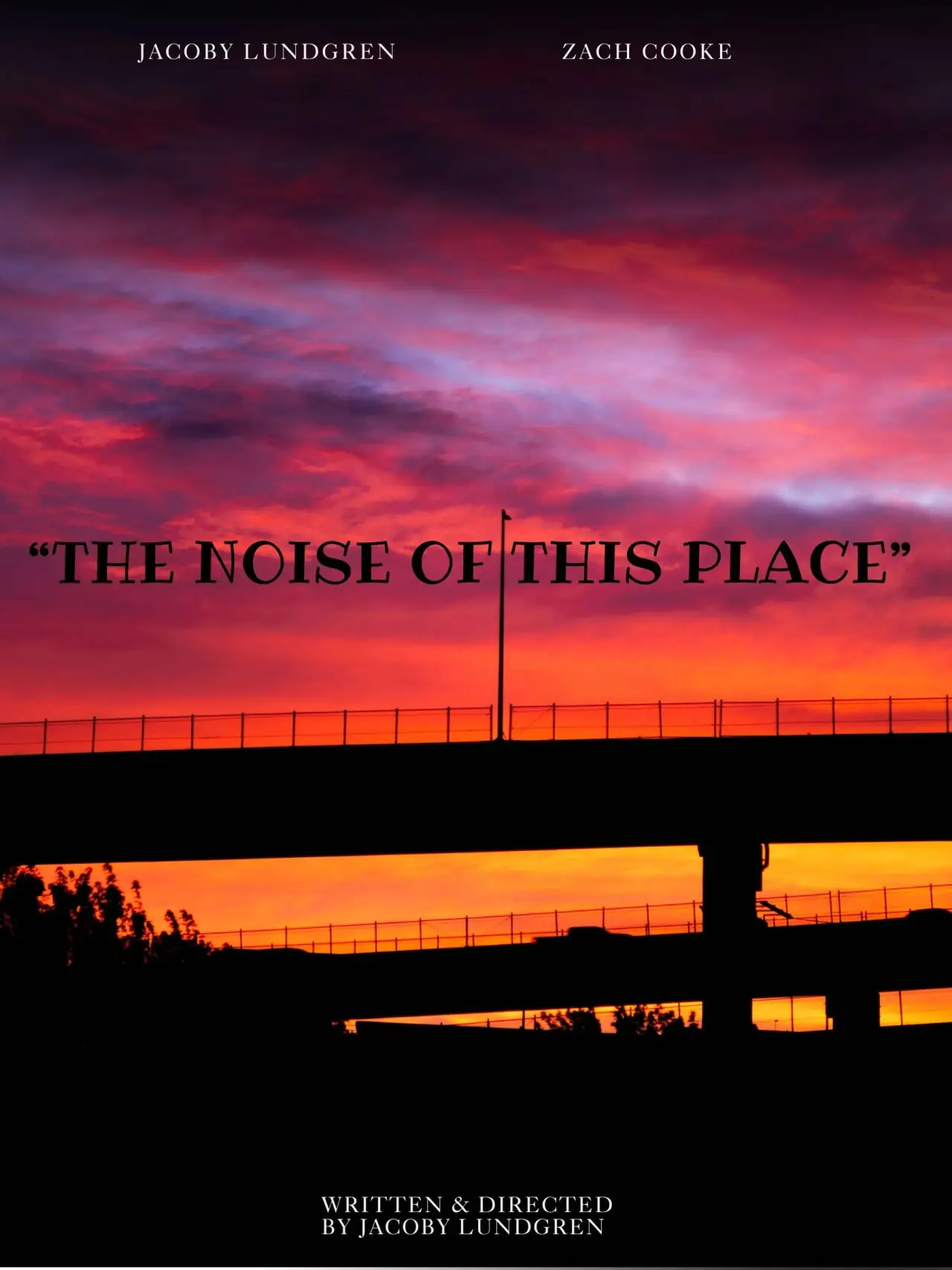 Movie poster ""The Noise of This Place""