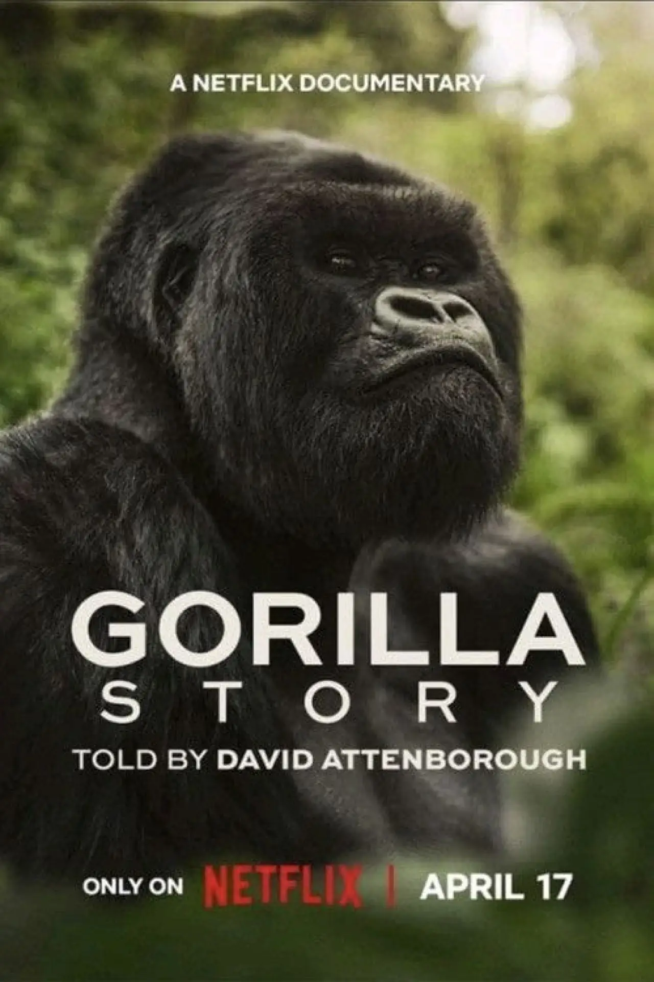 Movie poster "A Gorilla Story: Told by David Attenborough"