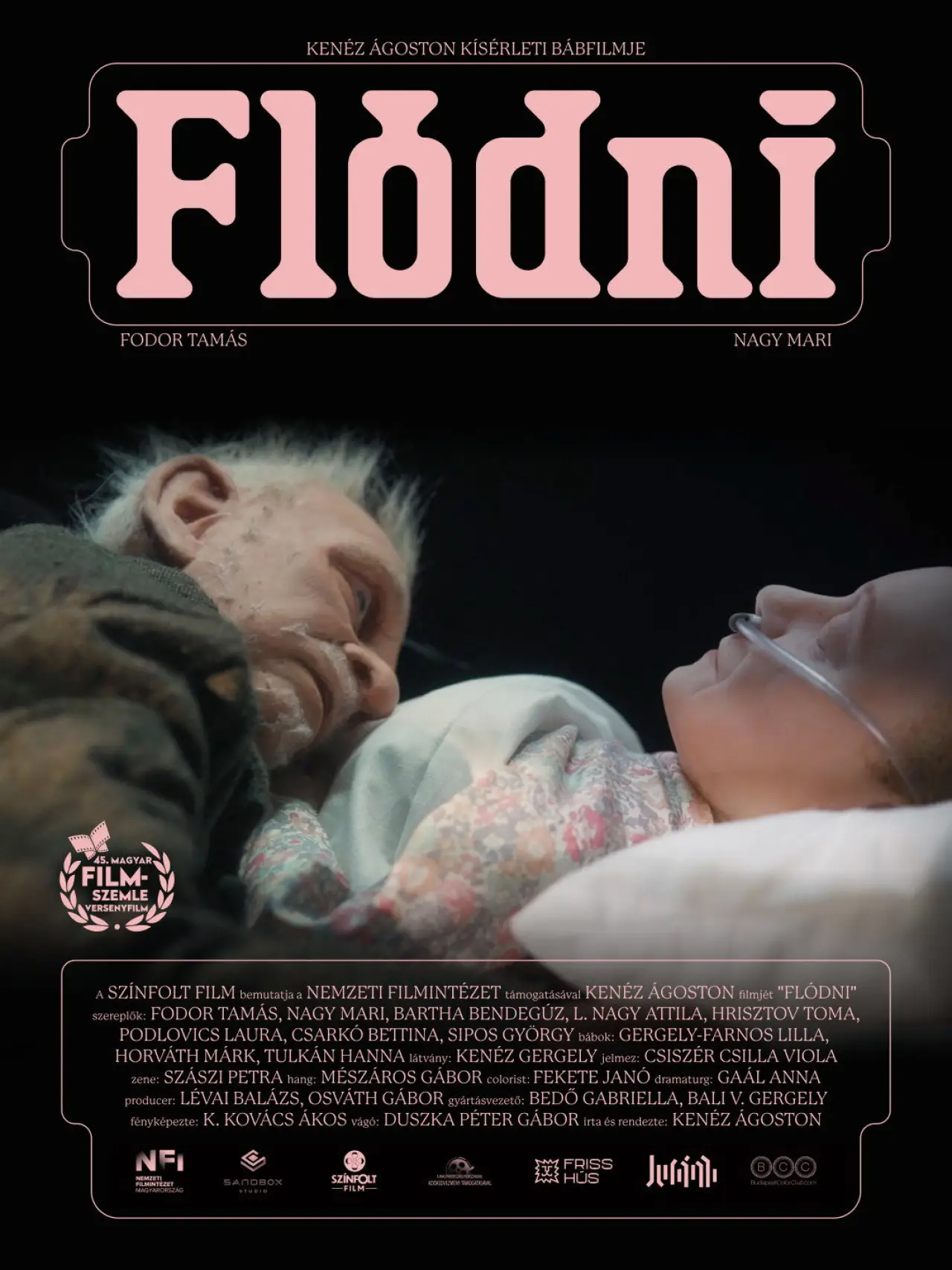 Movie poster "Flódni"
