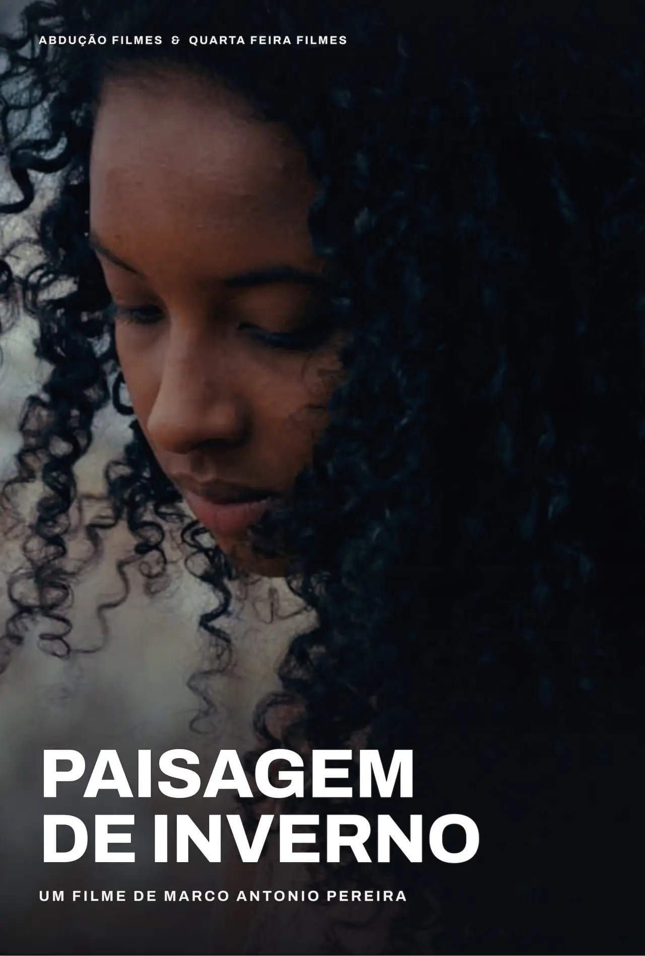 Movie poster "Paisagem de Inverno"