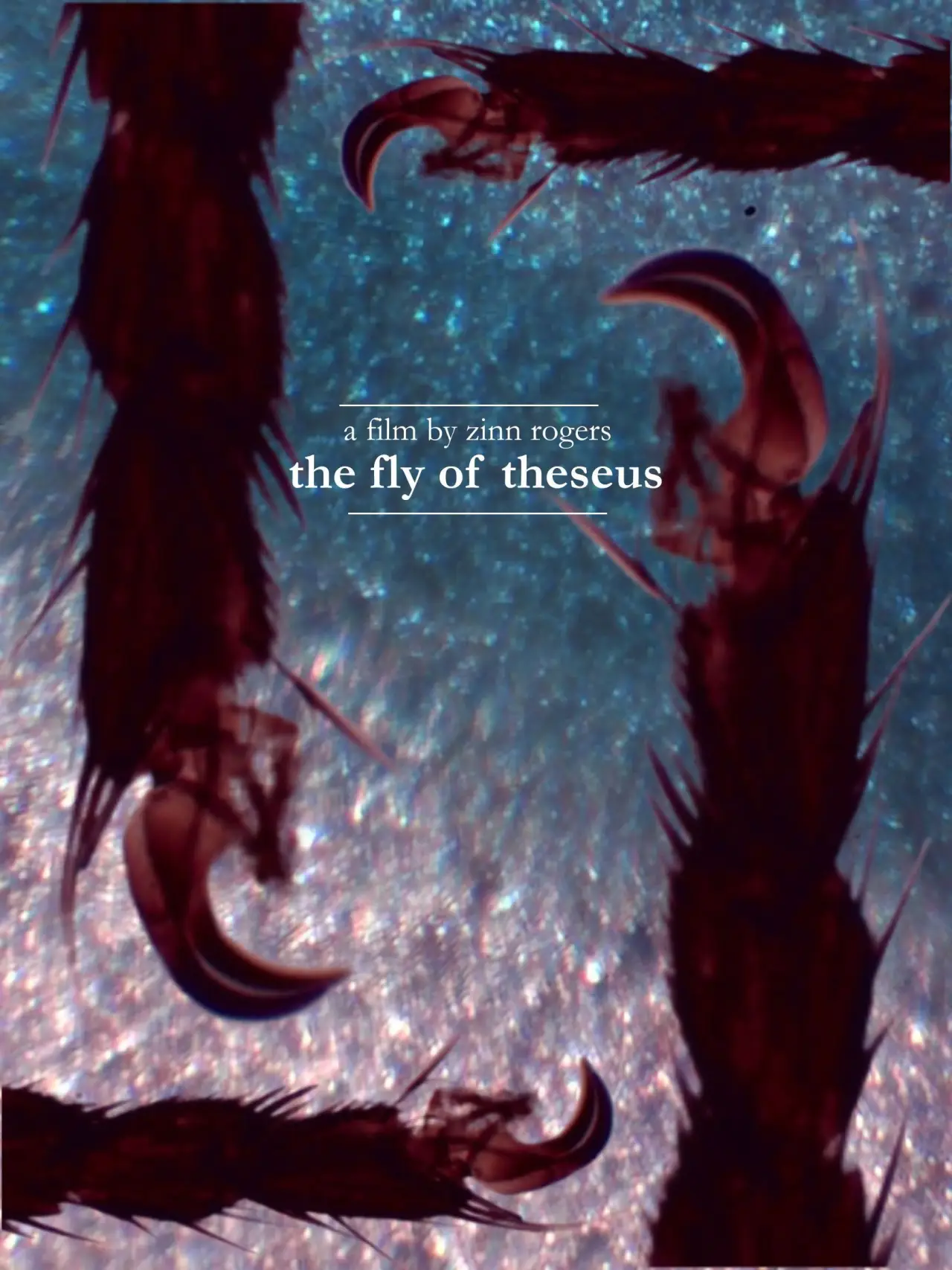 Movie poster "The Fly of Theseus"