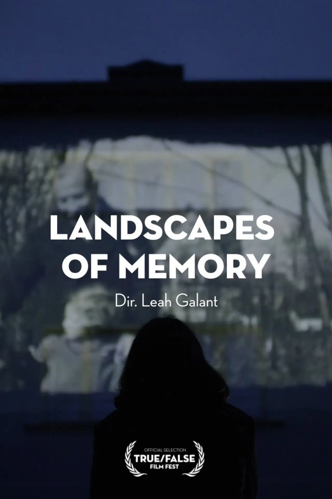 Movie poster "Landscapes of Memory"