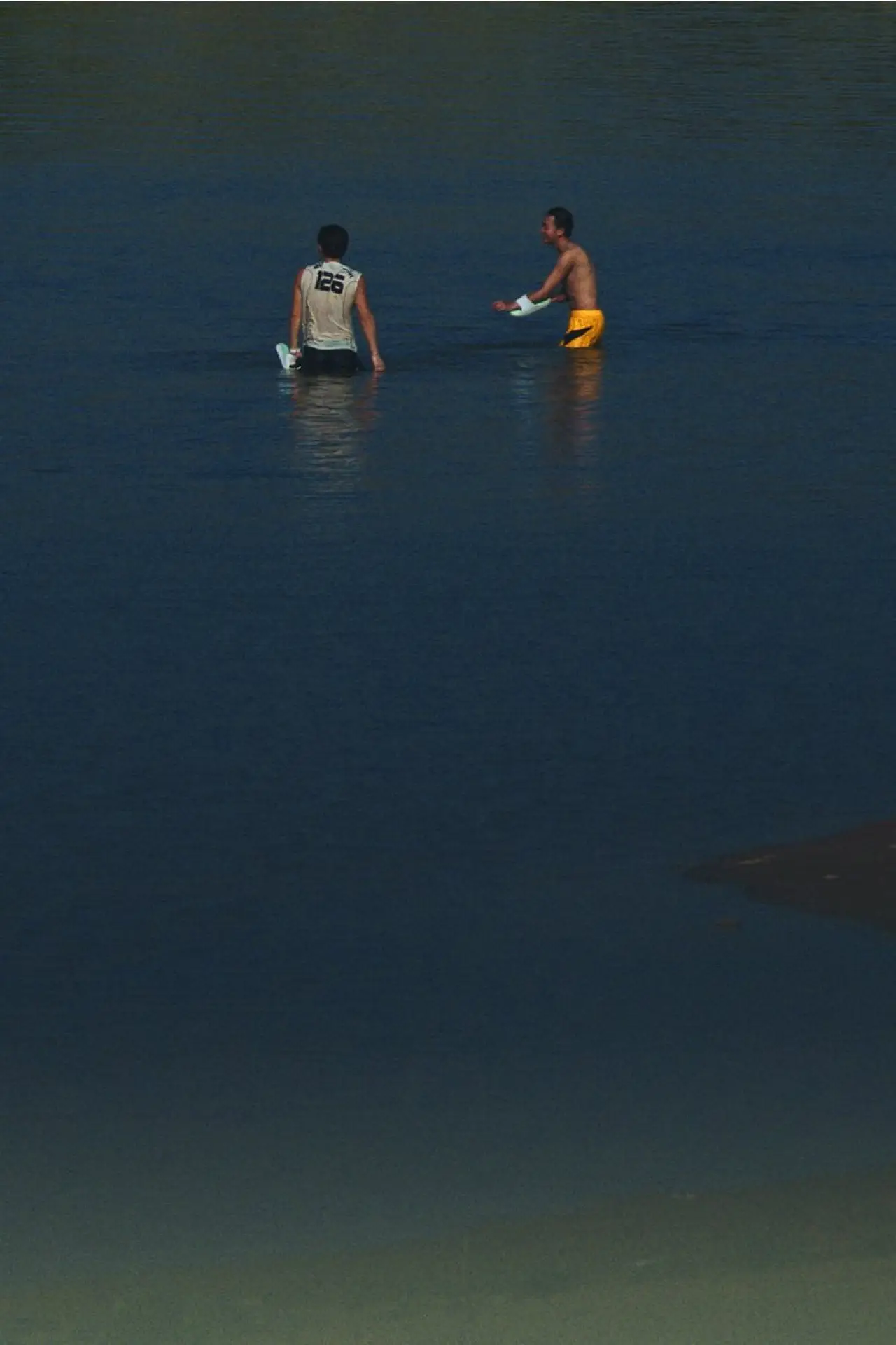 Movie poster "The Rib of the Greater Bay Area"