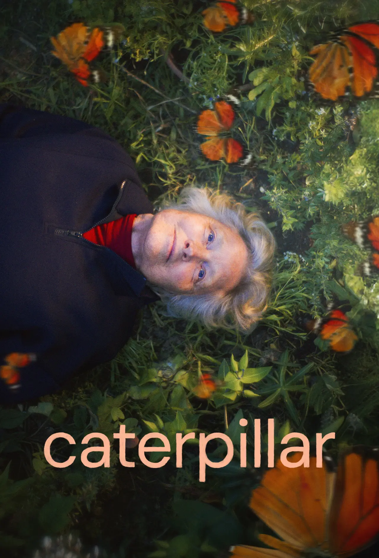 Movie poster "Caterpillar"