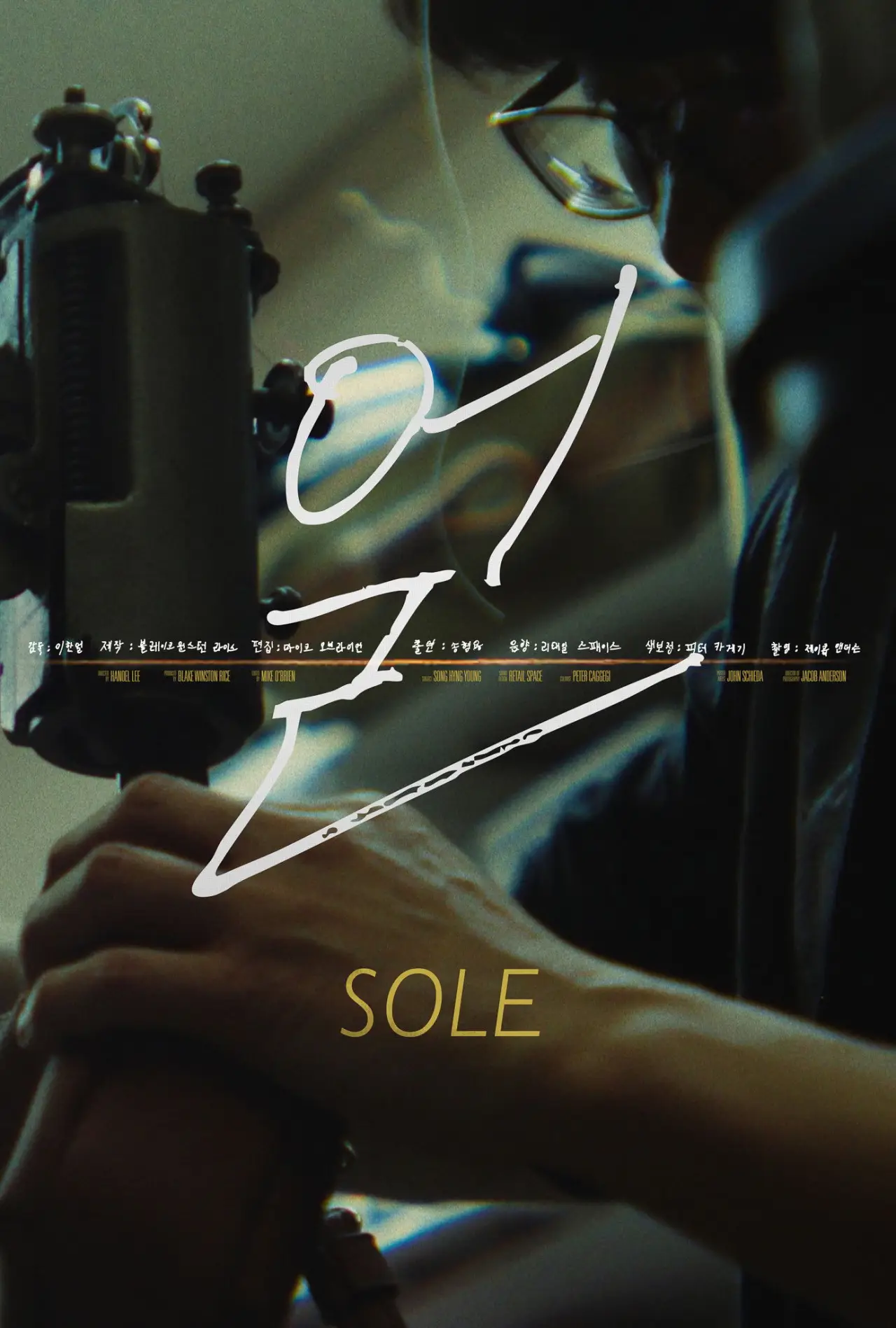 Movie poster "Sole"