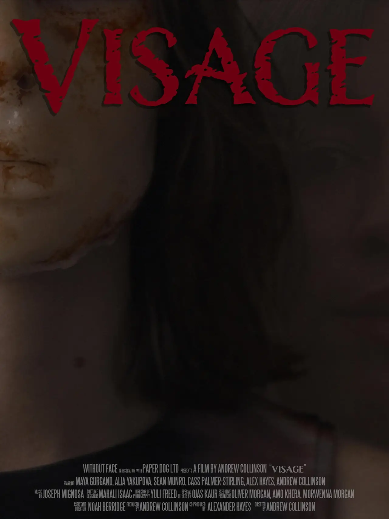Movie poster "Visage"