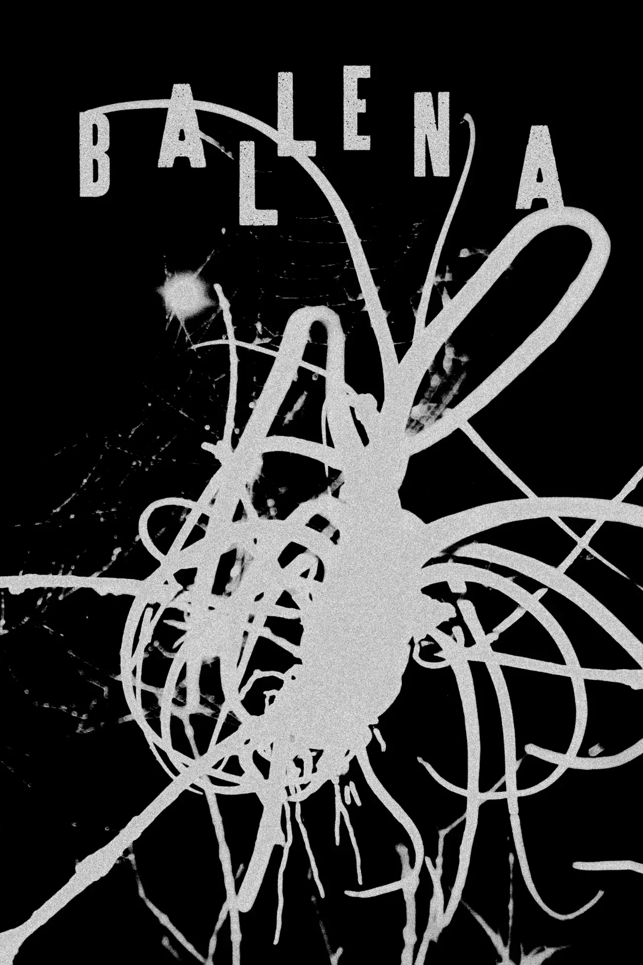 Movie poster "Ballena"