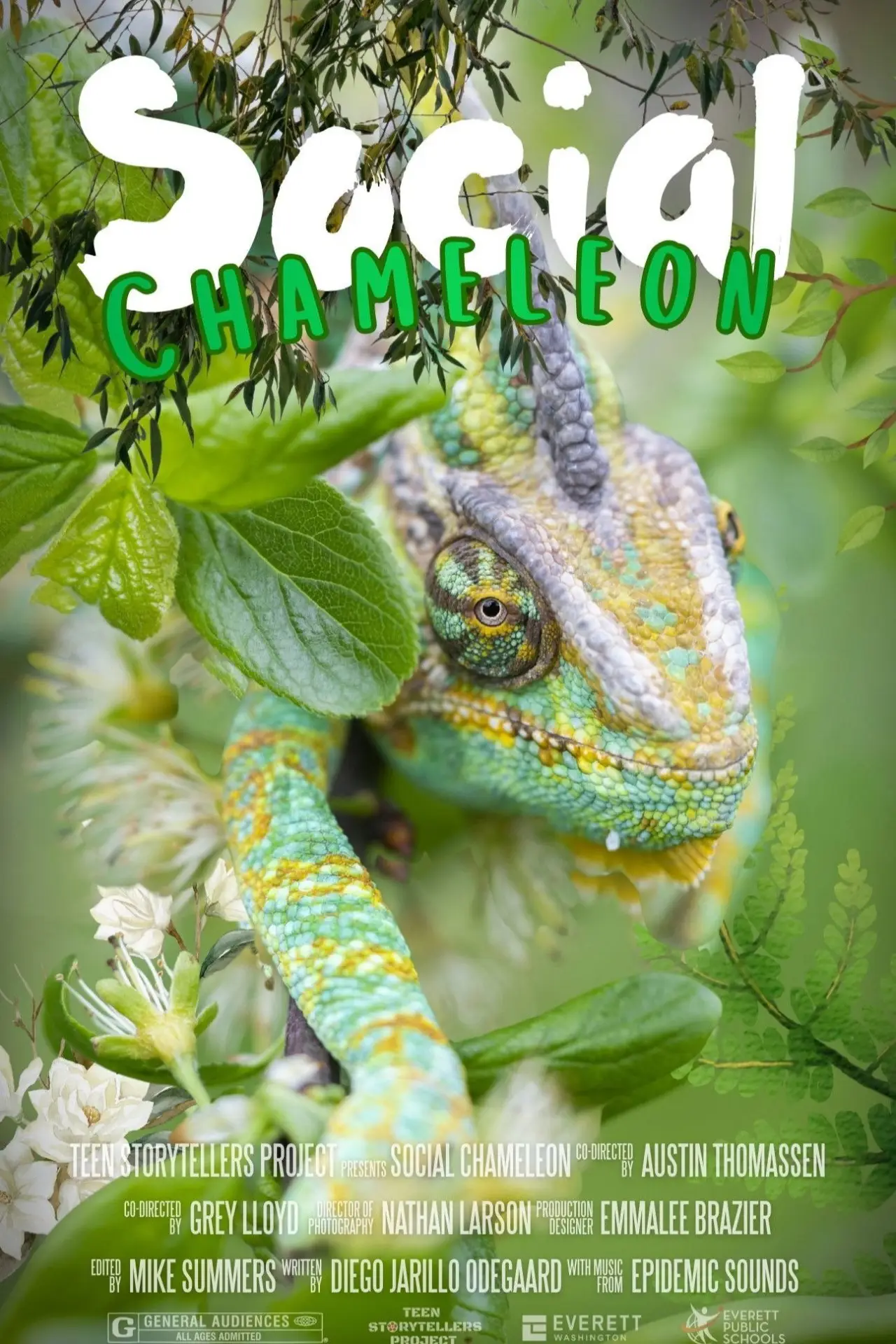 Movie poster "Social Chameleon"