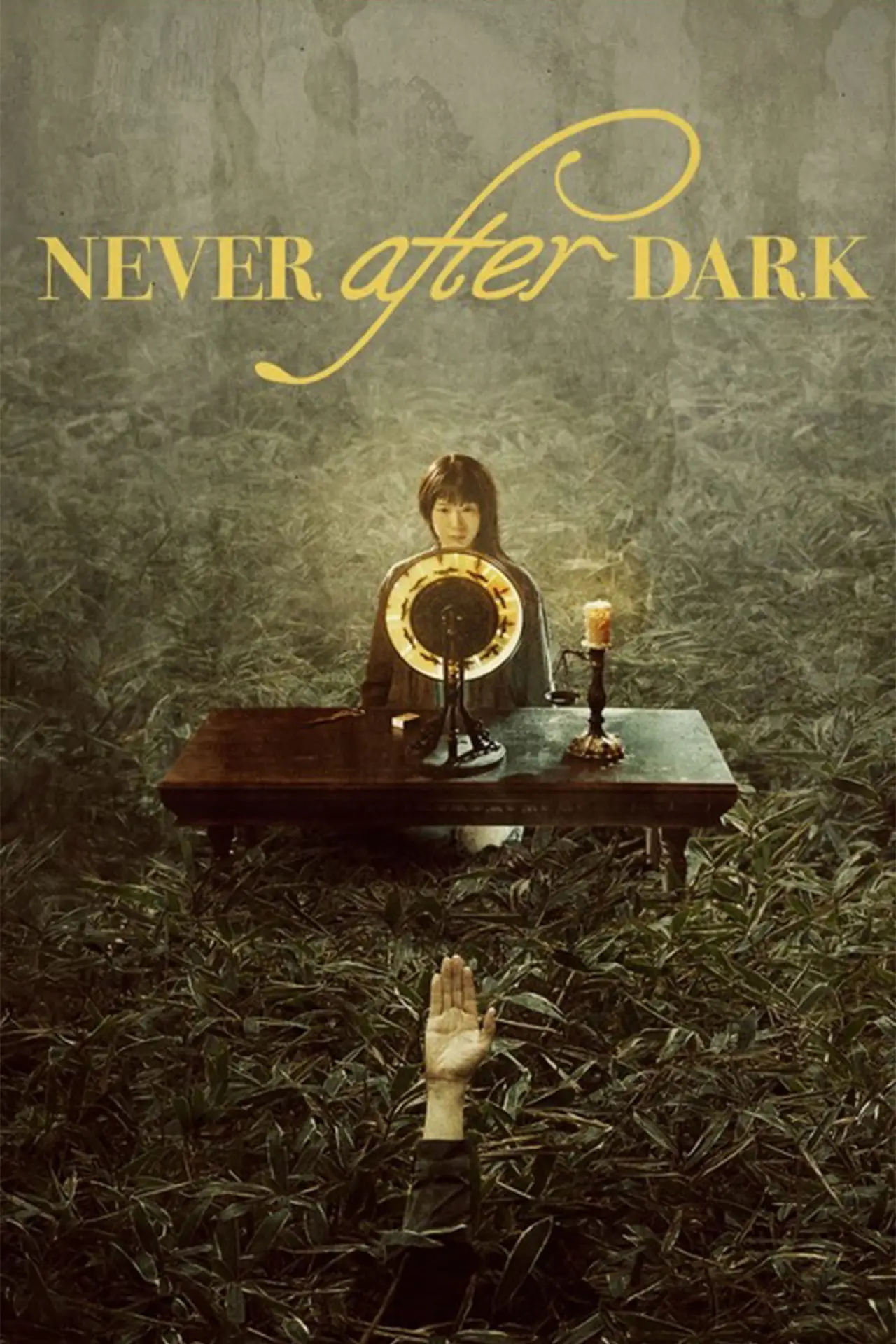 Movie poster "Never After Dark"