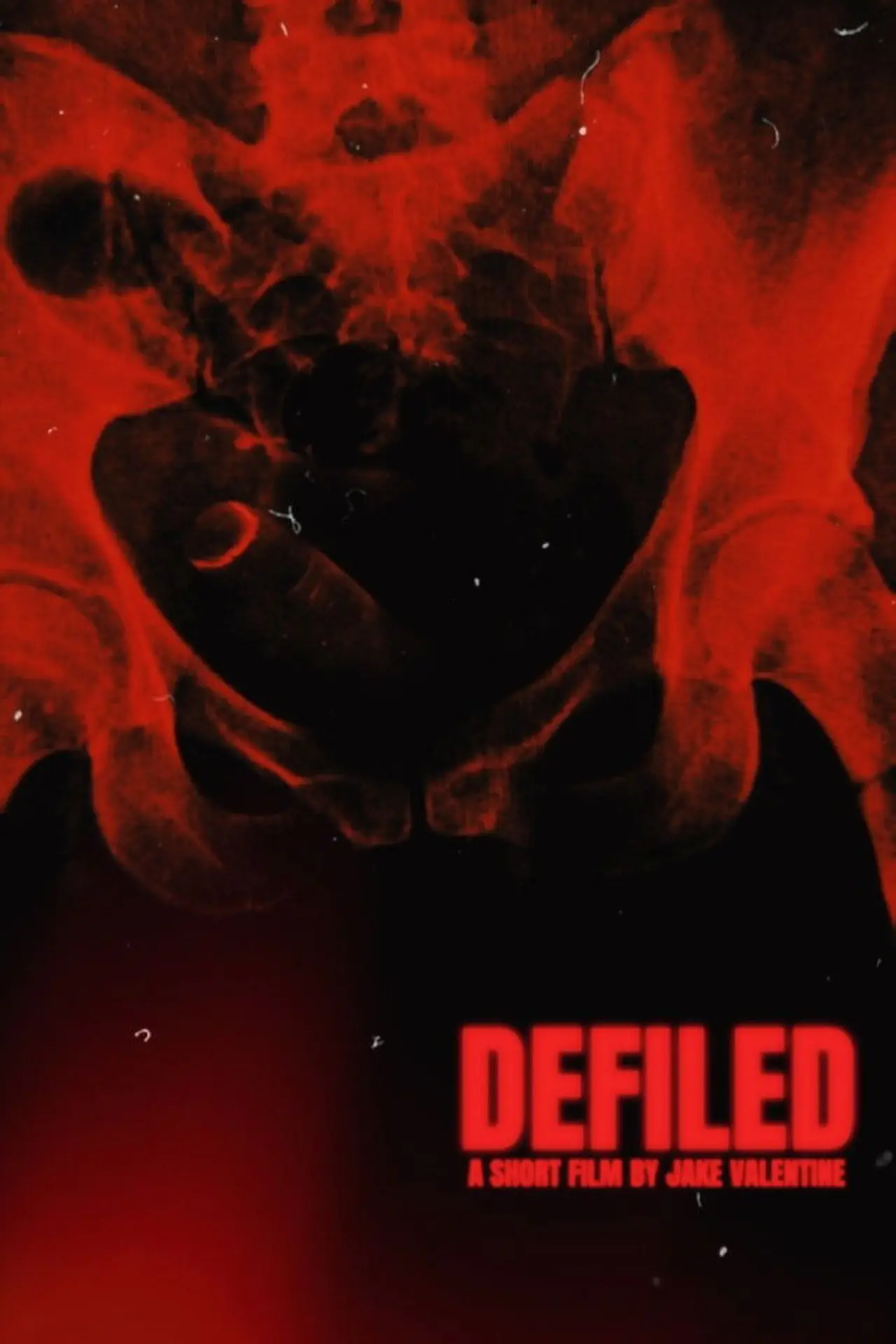 Movie poster "Defiled"