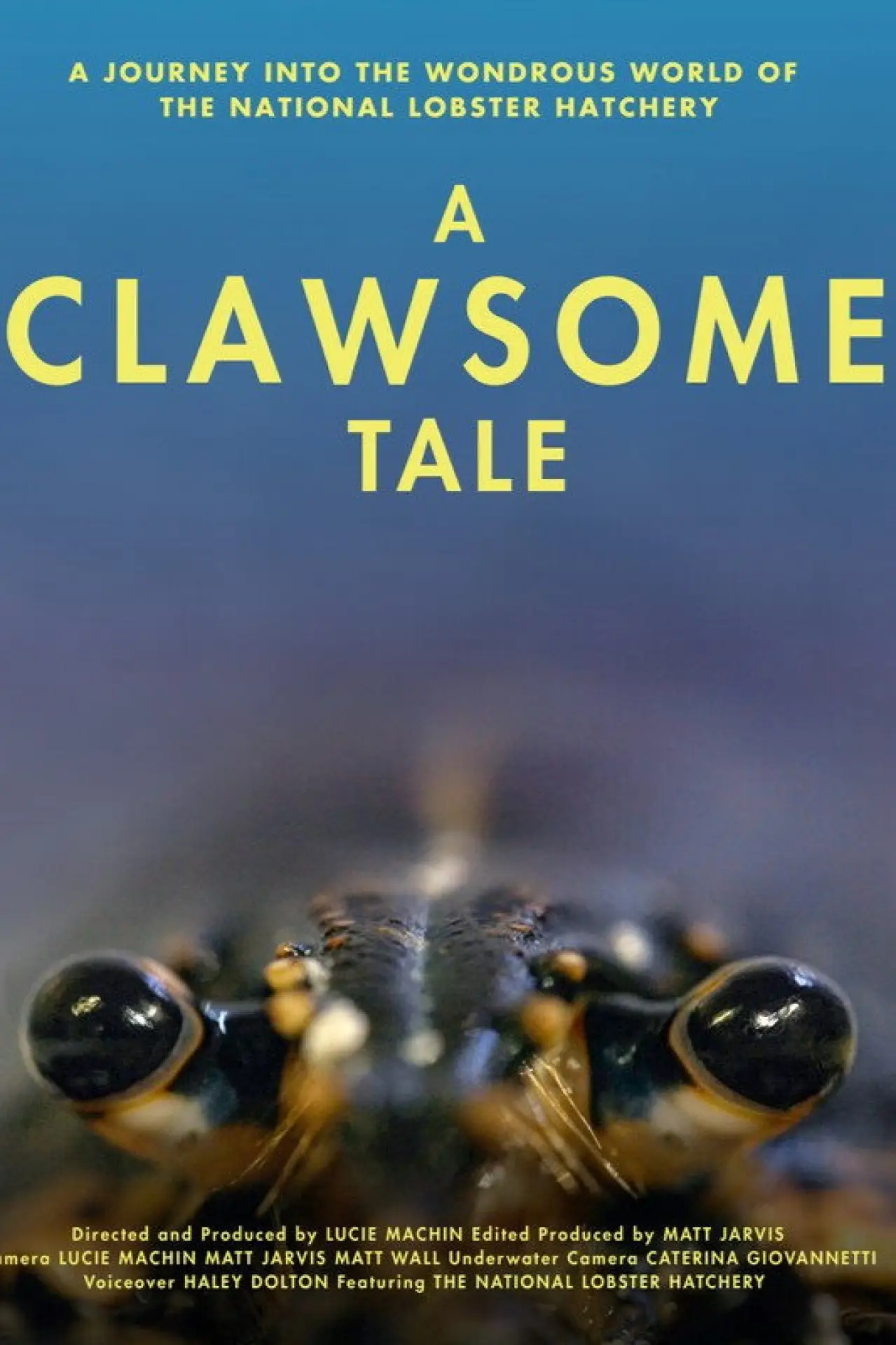 Movie poster "A Clawsome Tale"