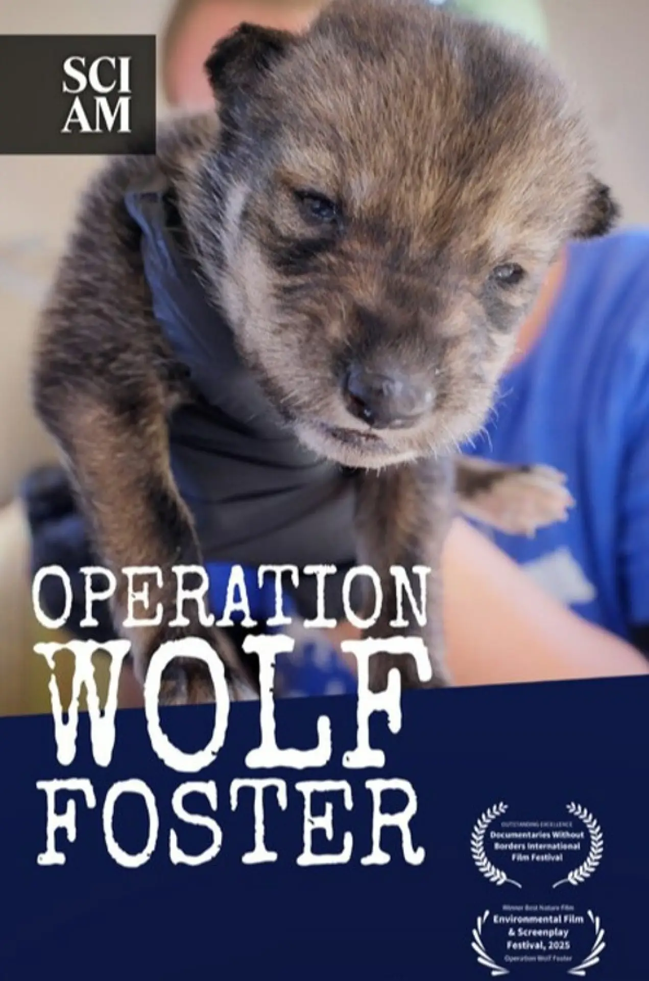 Movie poster "Operation Wolf Foster"