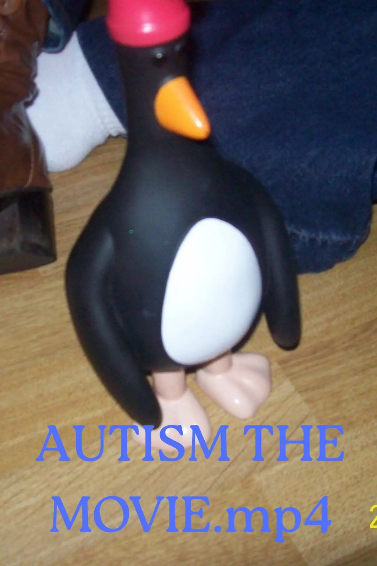 Movie poster "Autism the movie.mp4"