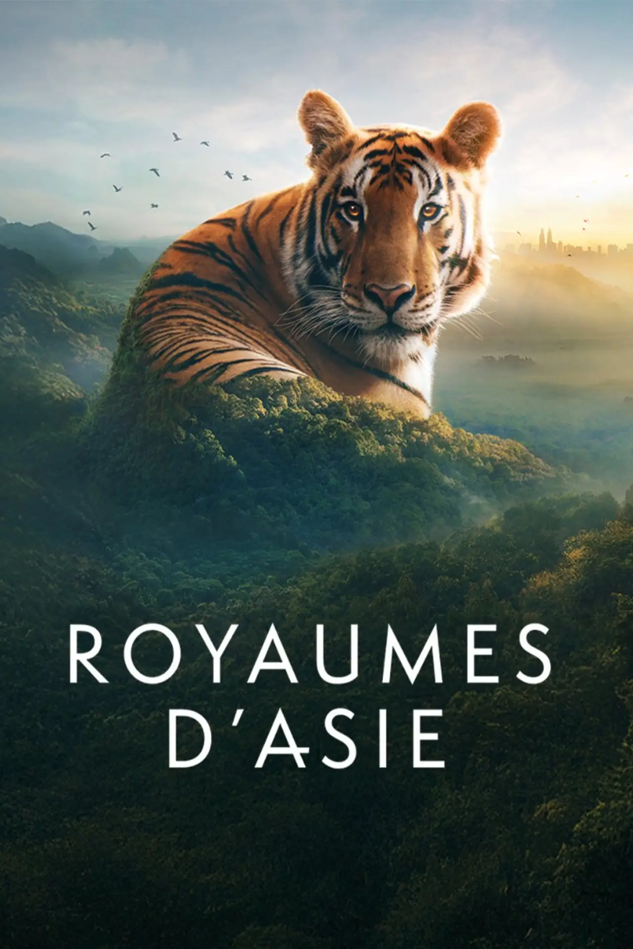 Movie poster "Royaumes d