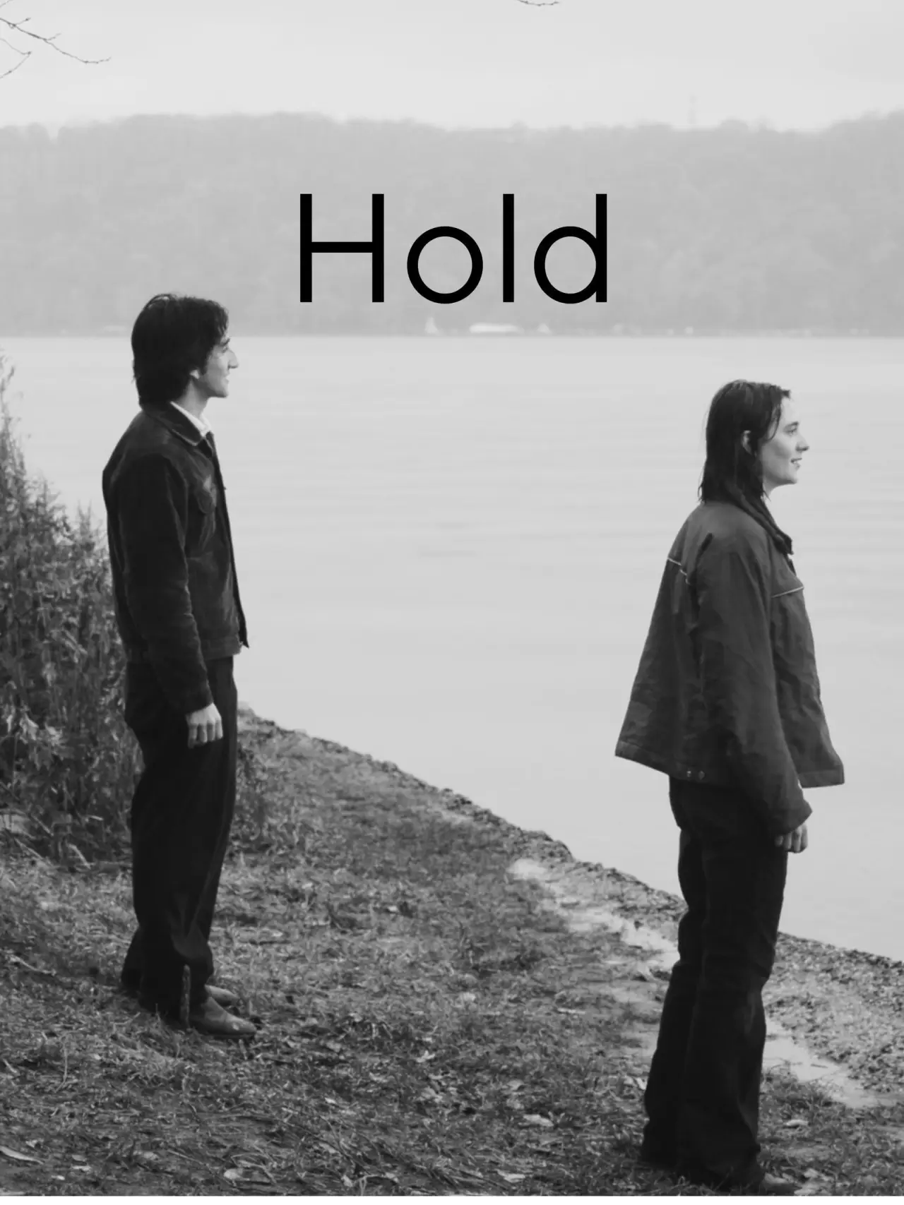 Movie poster "Hold"