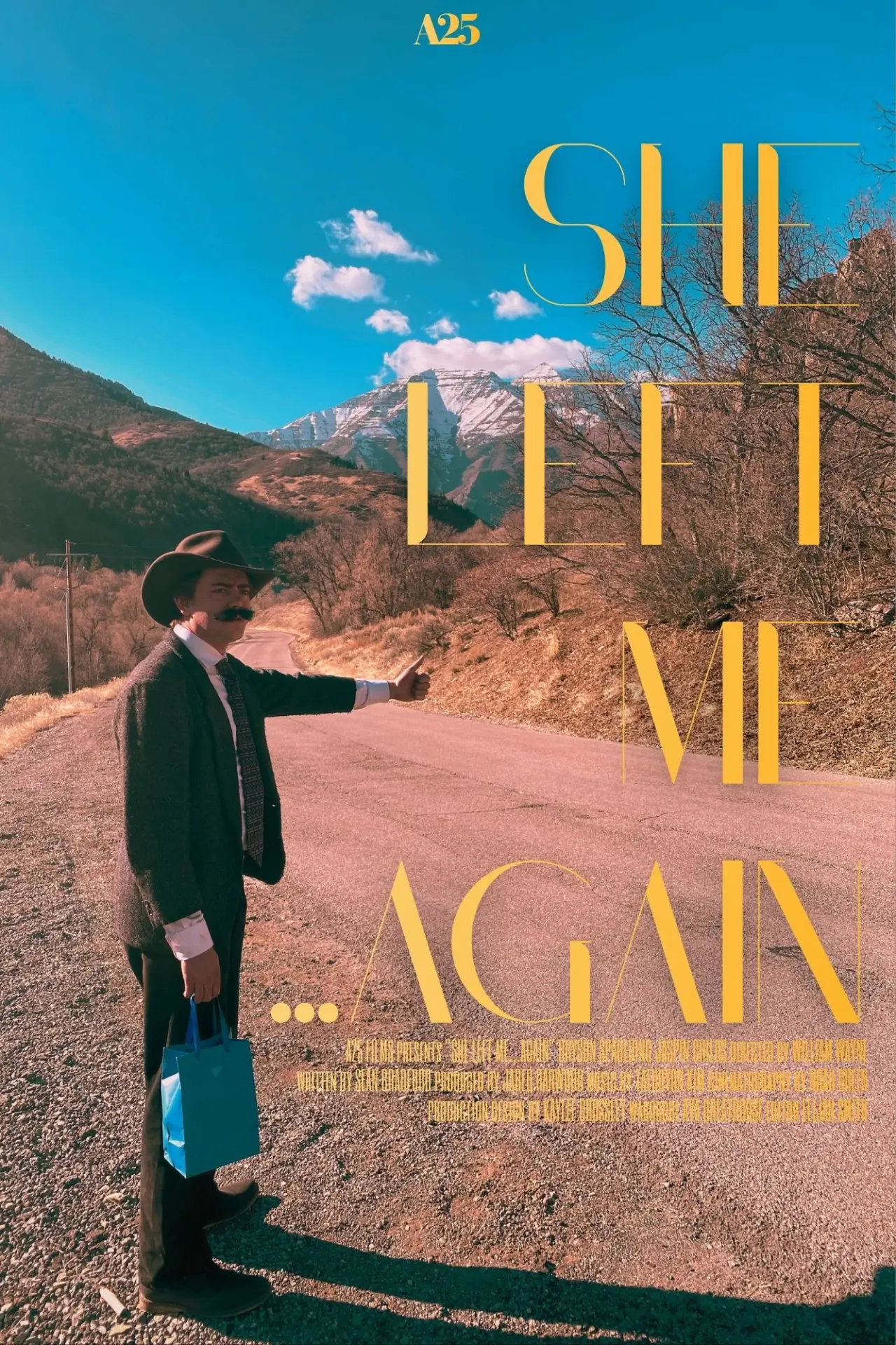 Movie poster "She Left me...Again"