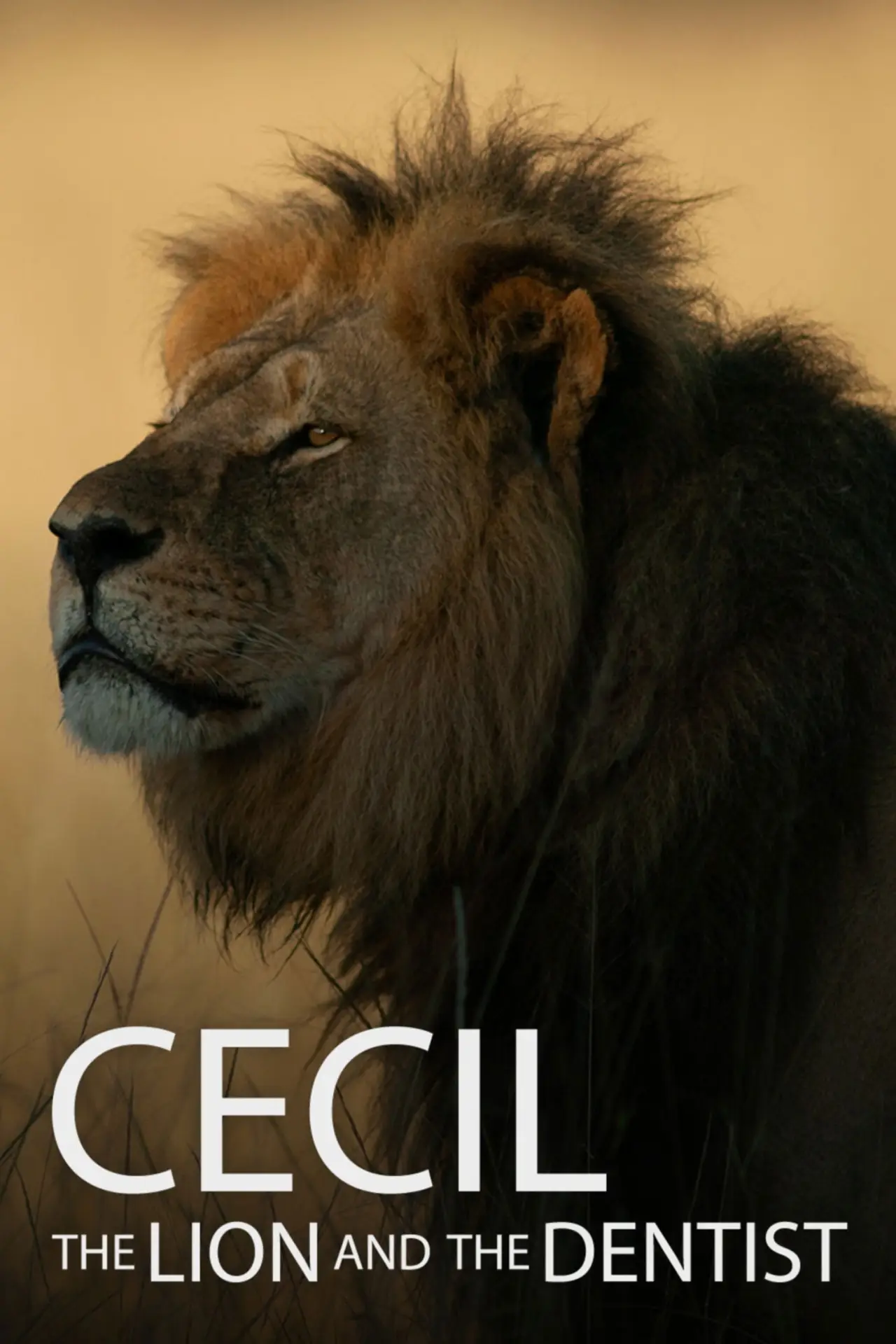 Movie poster "Cecil"