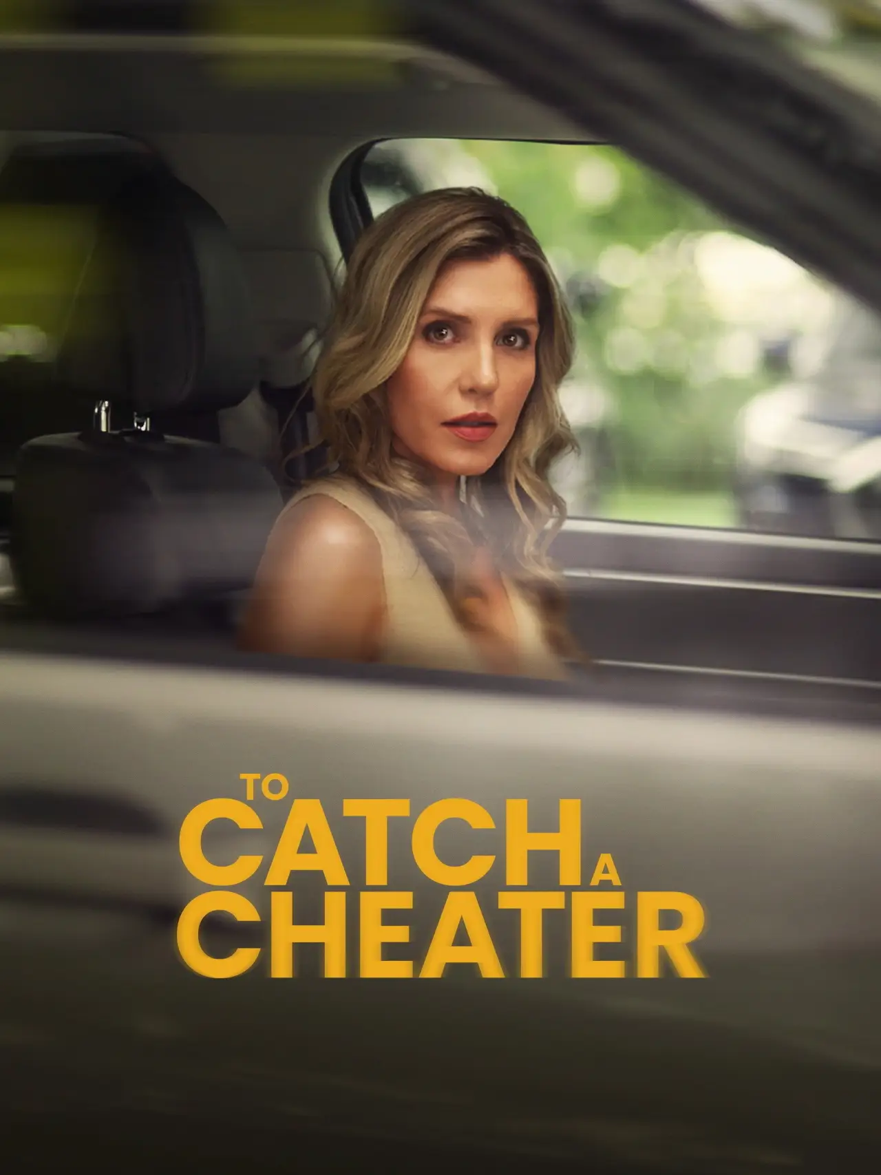Movie poster "To Catch a Cheater"